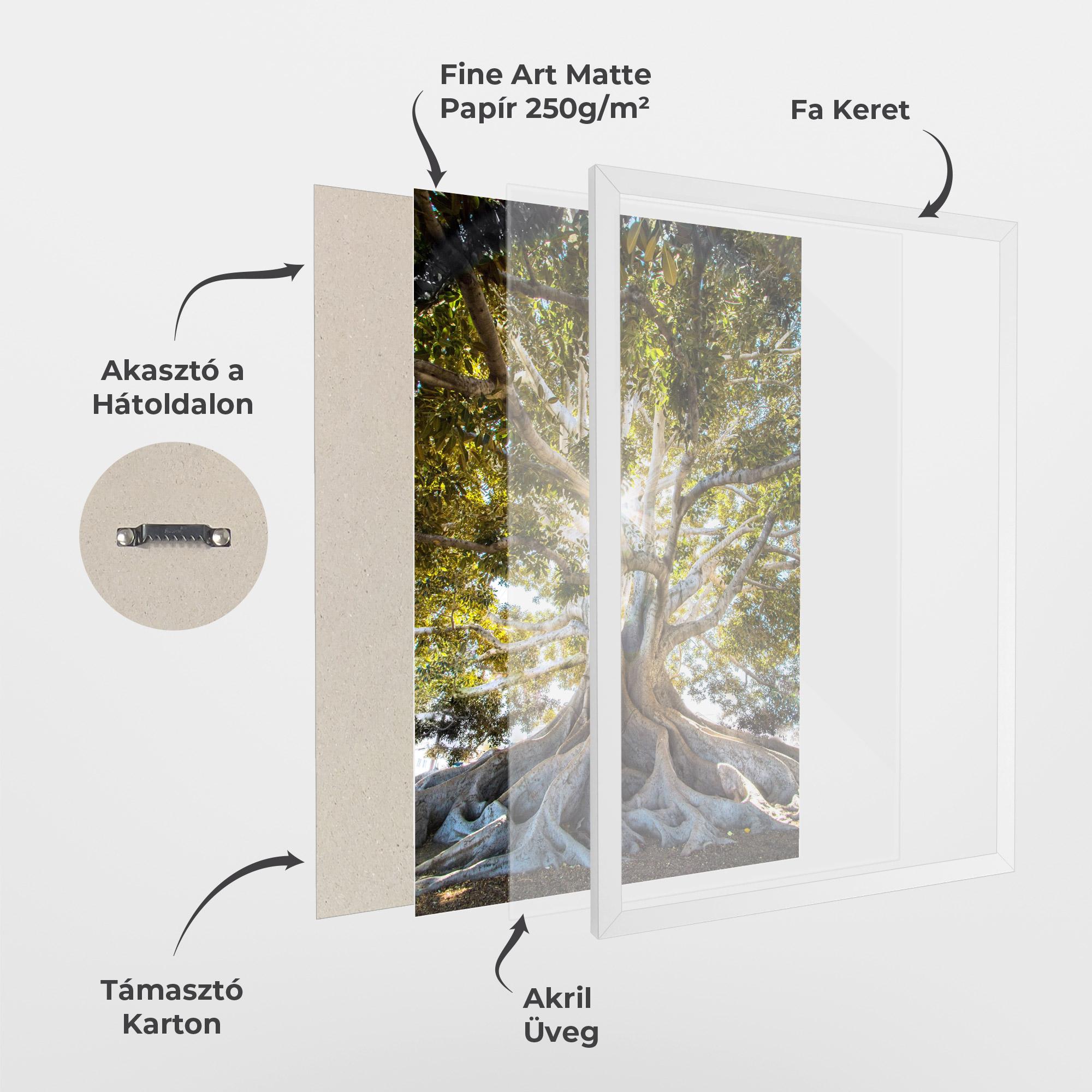 Keretezett Poszter Big Old Tree mockup 1