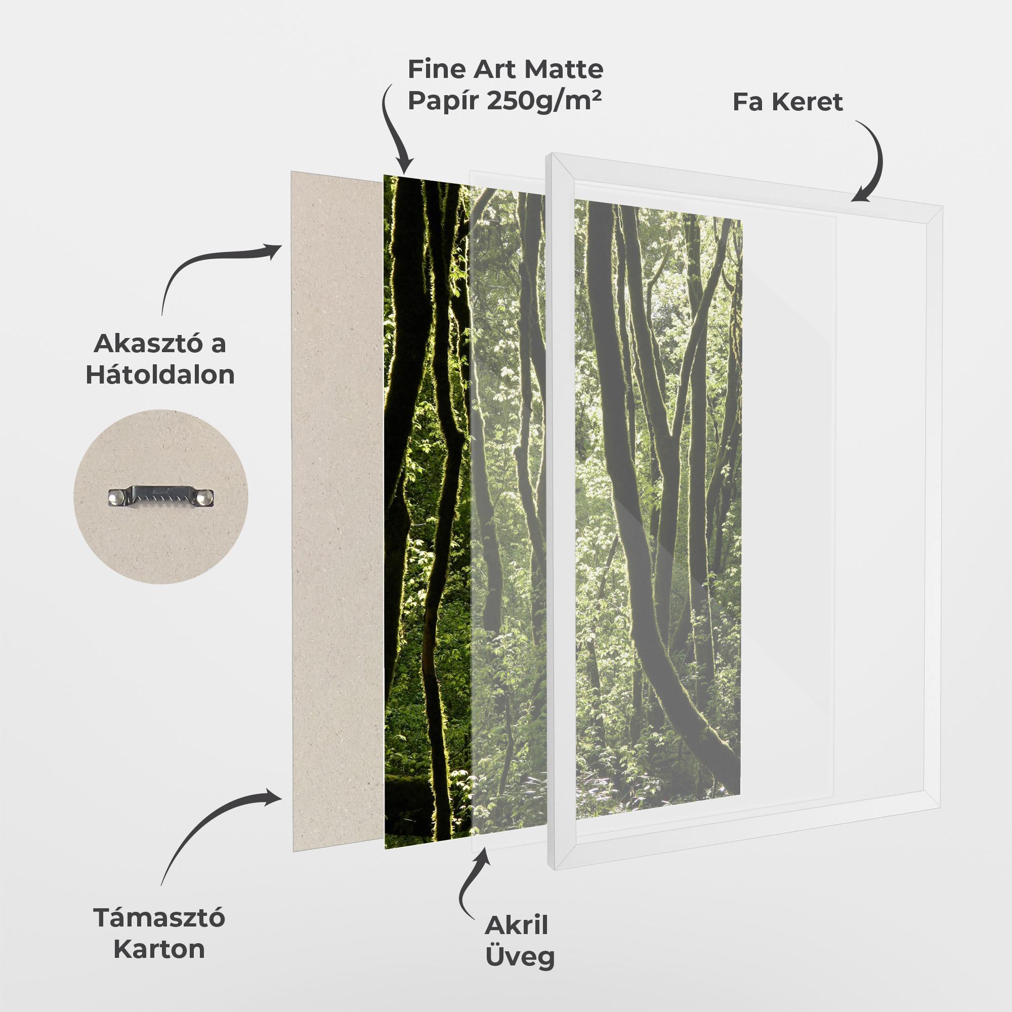 Keretezett Poszter Forest Black Trees mockup 1