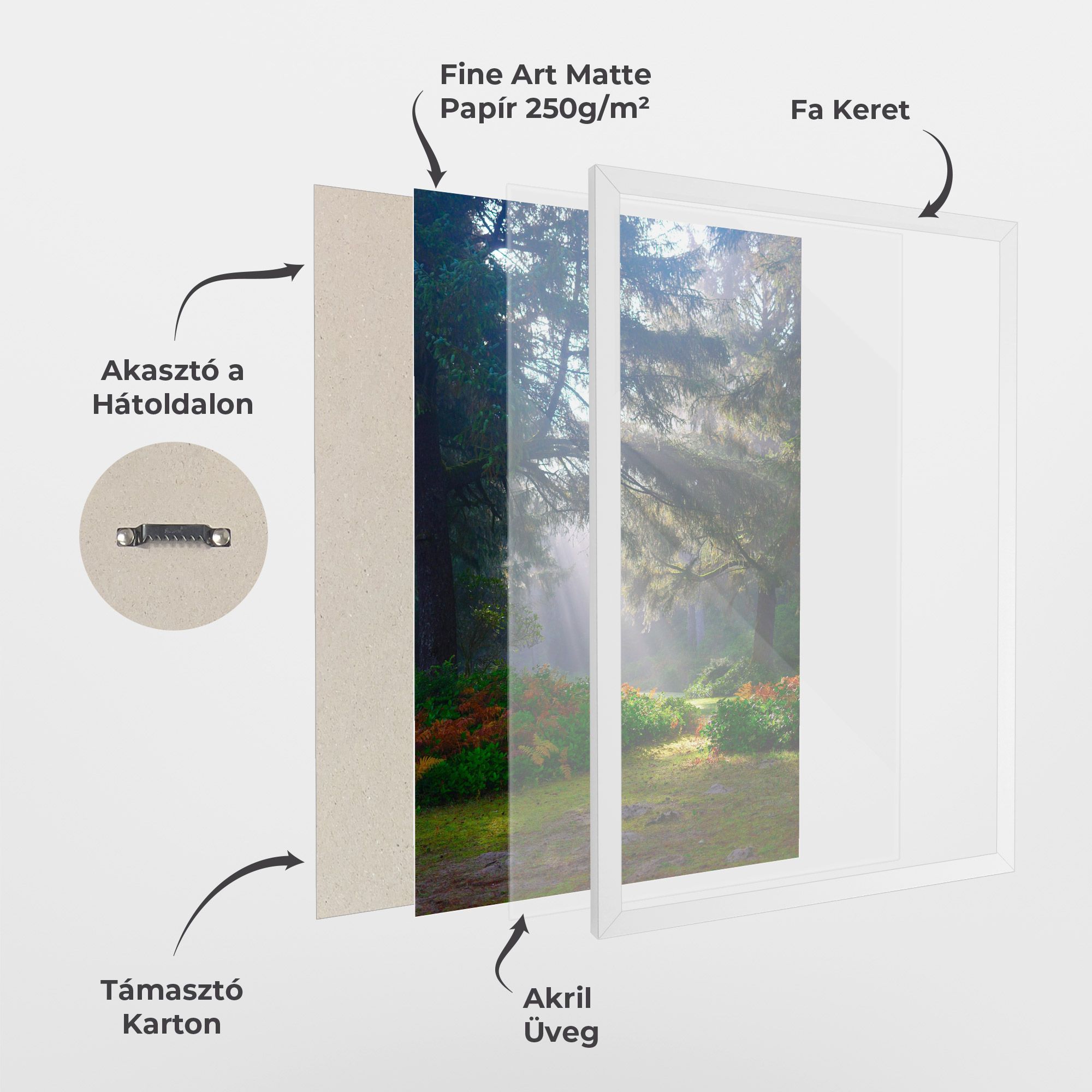 Forest Light mockup 1