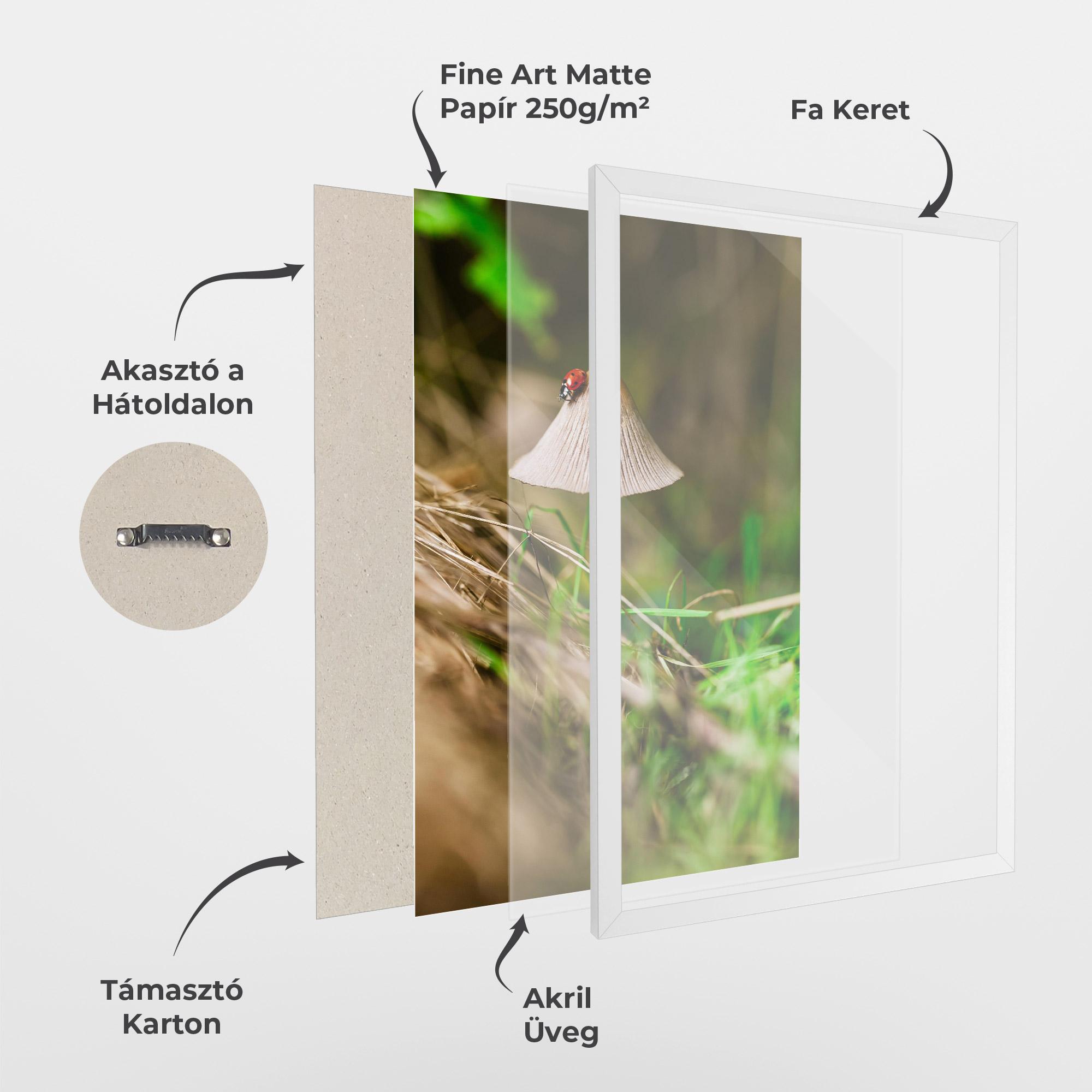 Keretezett Poszter Mushroom Forest mockup 1