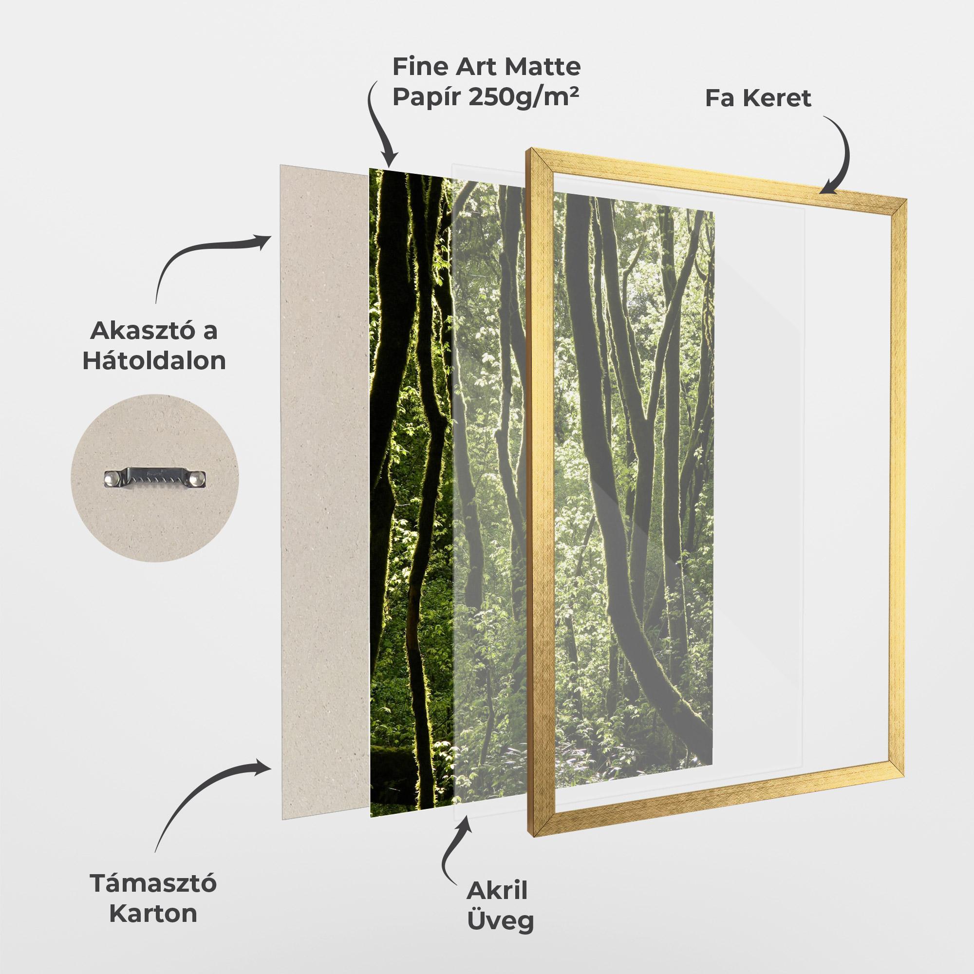 Keretezett Poszter Forest Black Trees mockup 1