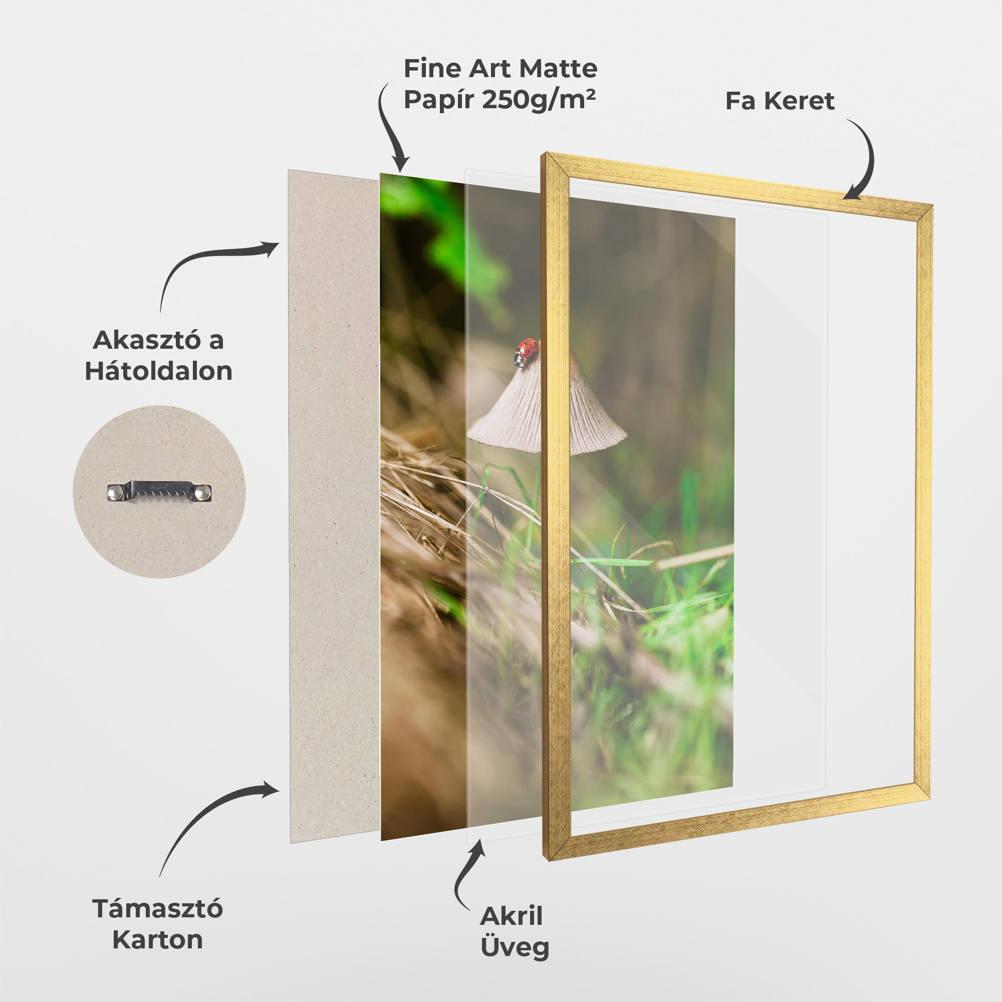 Keretezett Poszter Mushroom Forest mockup 1