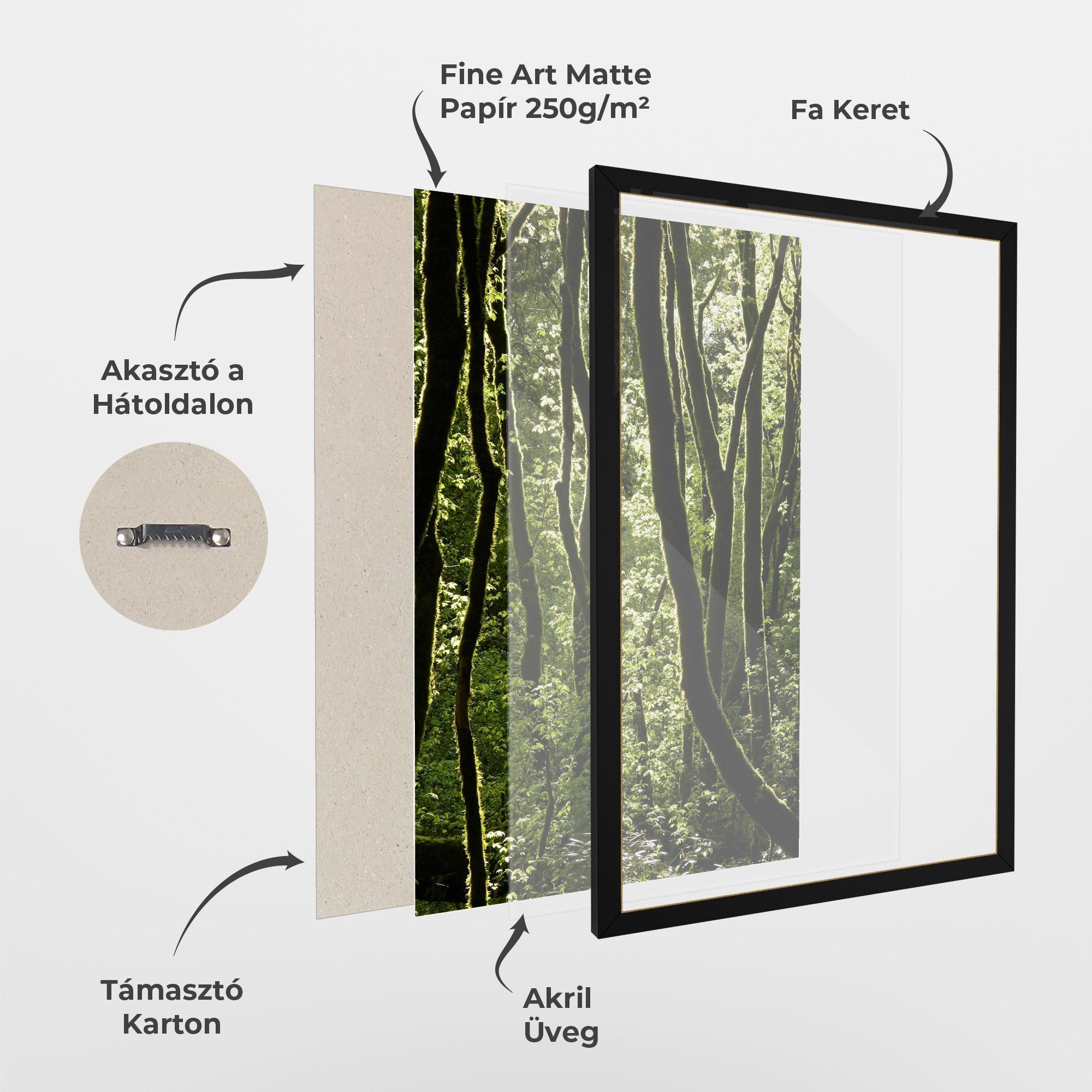 Keretezett Poszter Forest Black Trees mockup 1