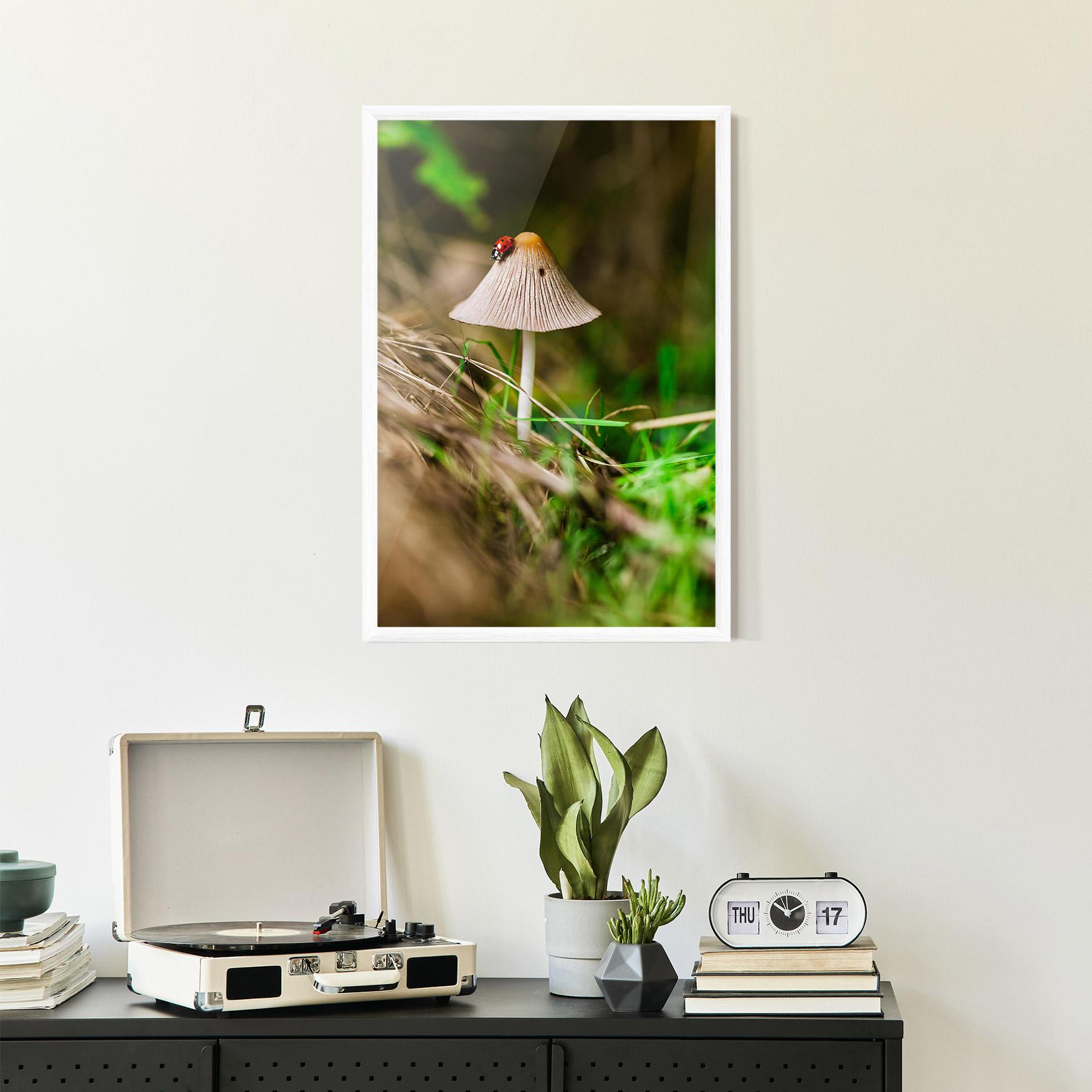 Keretezett Poszter Mushroom Forest mockup 2