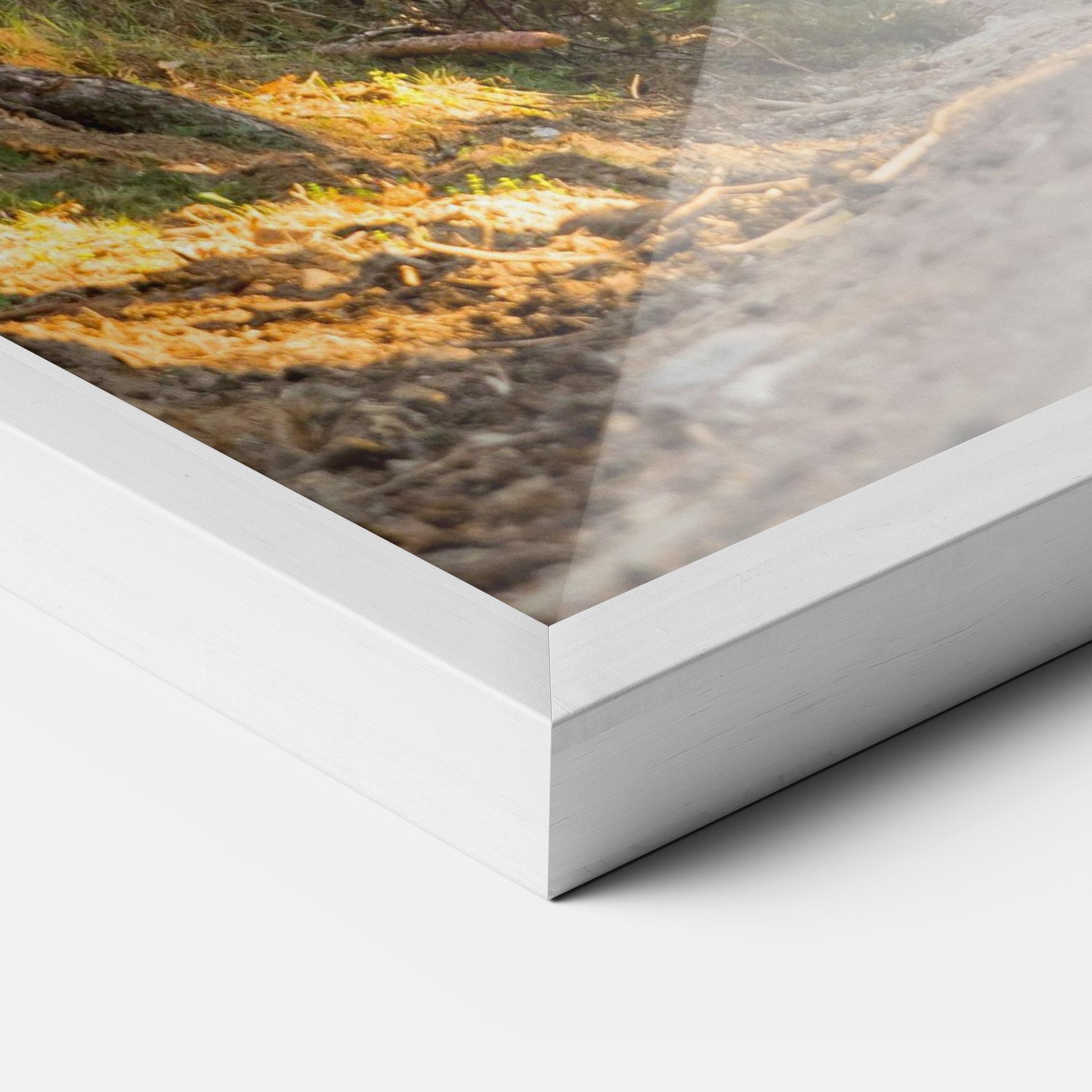 Keretezett Poszter Big Trees Forest mockup 3