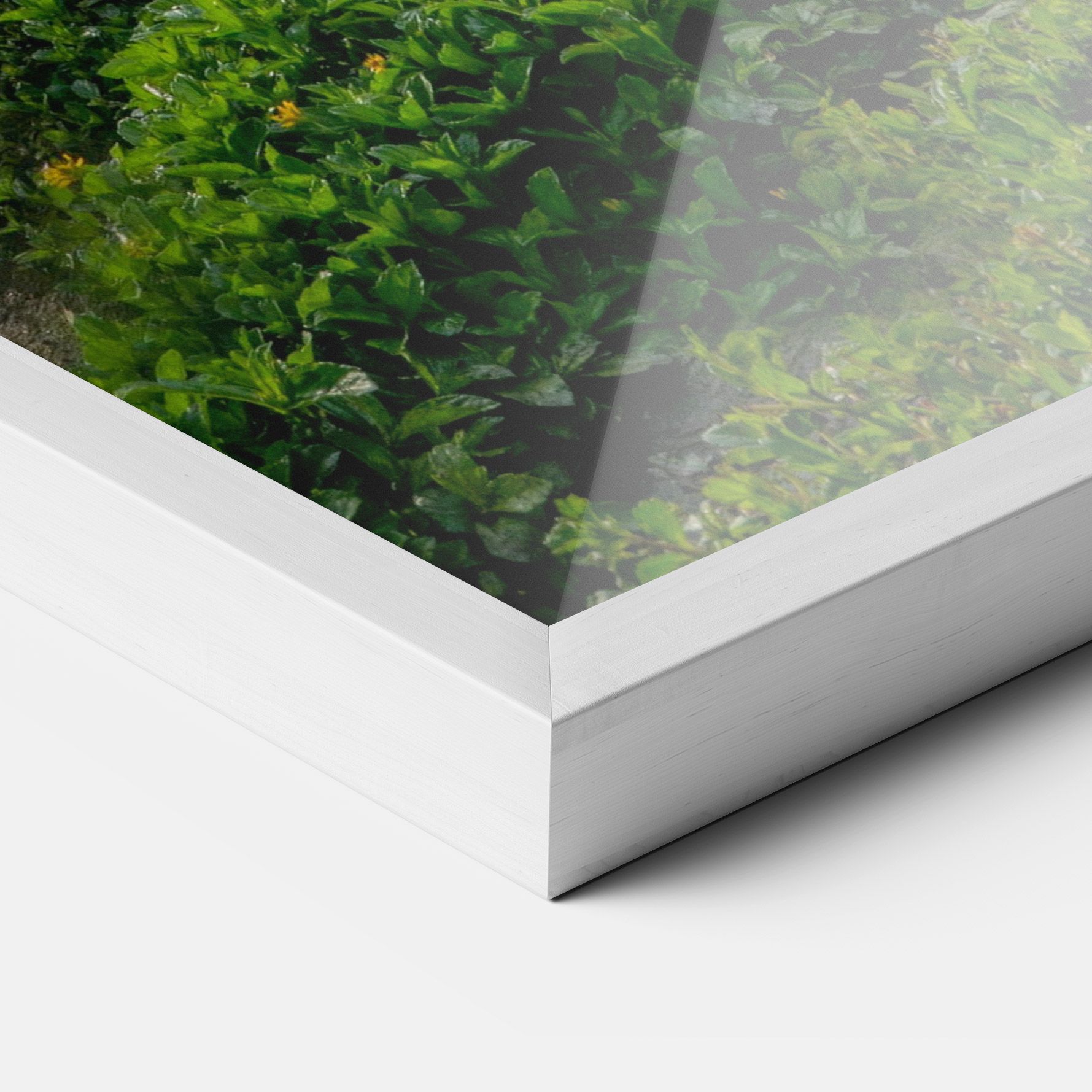 Chinese Landscape mockup 3