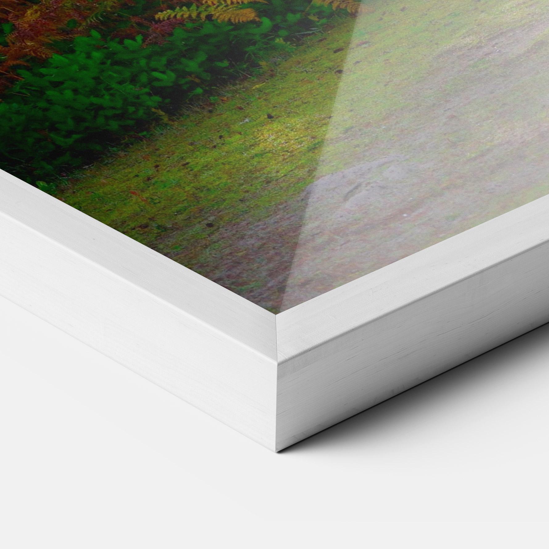 Keretezett Poszter Forest Light mockup 3