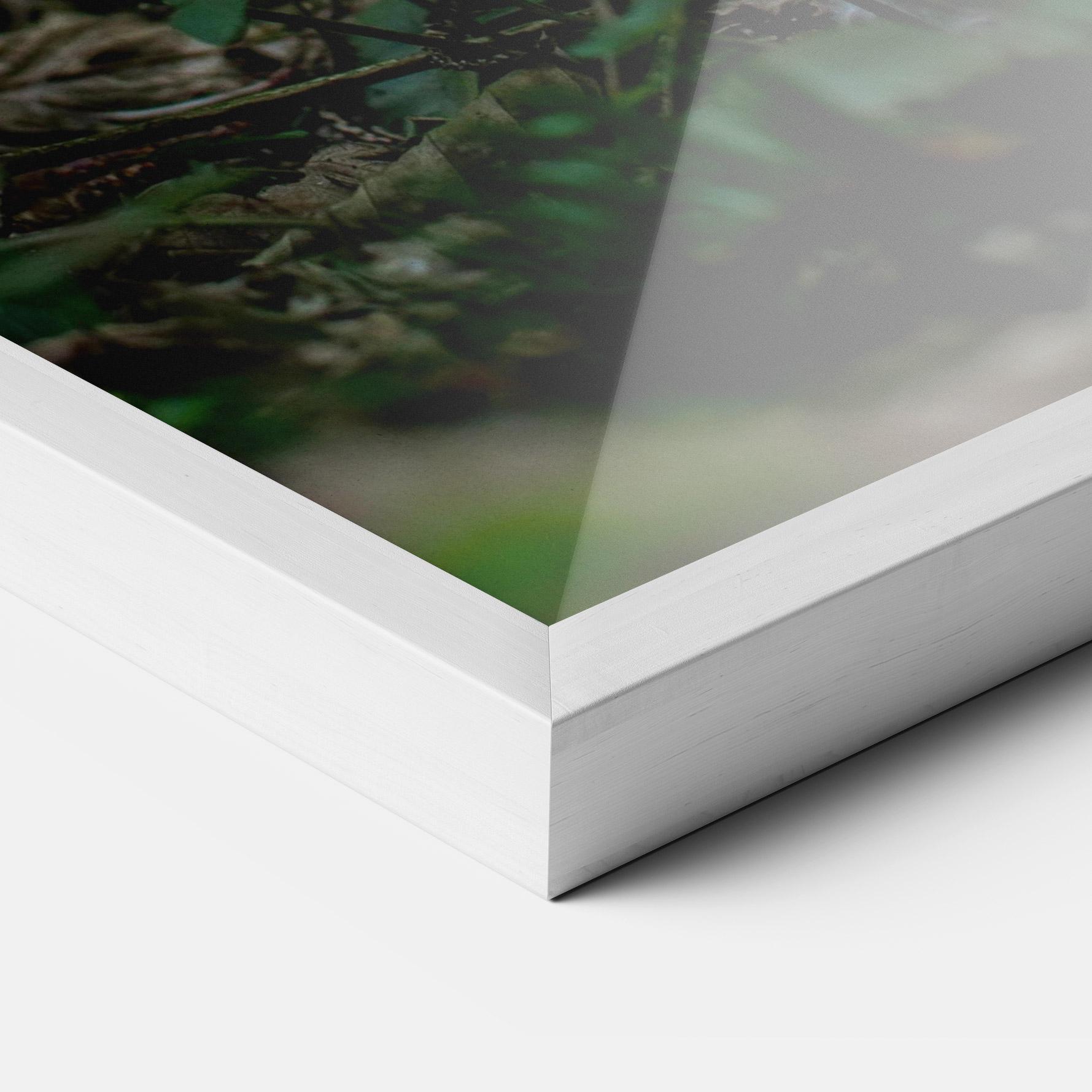 Keretezett Poszter Purple Flower Forest mockup 3