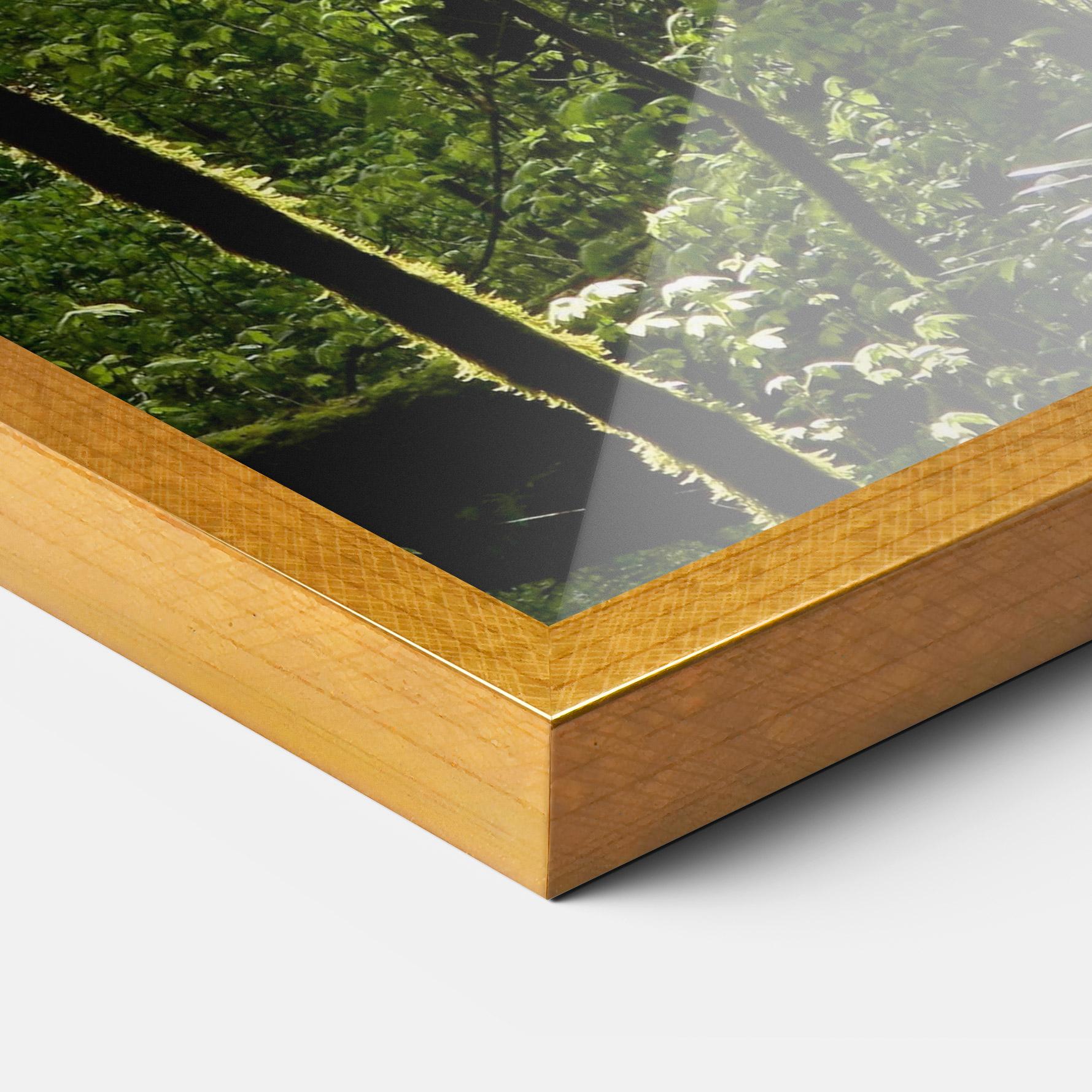 Keretezett Poszter Forest Black Trees mockup 3