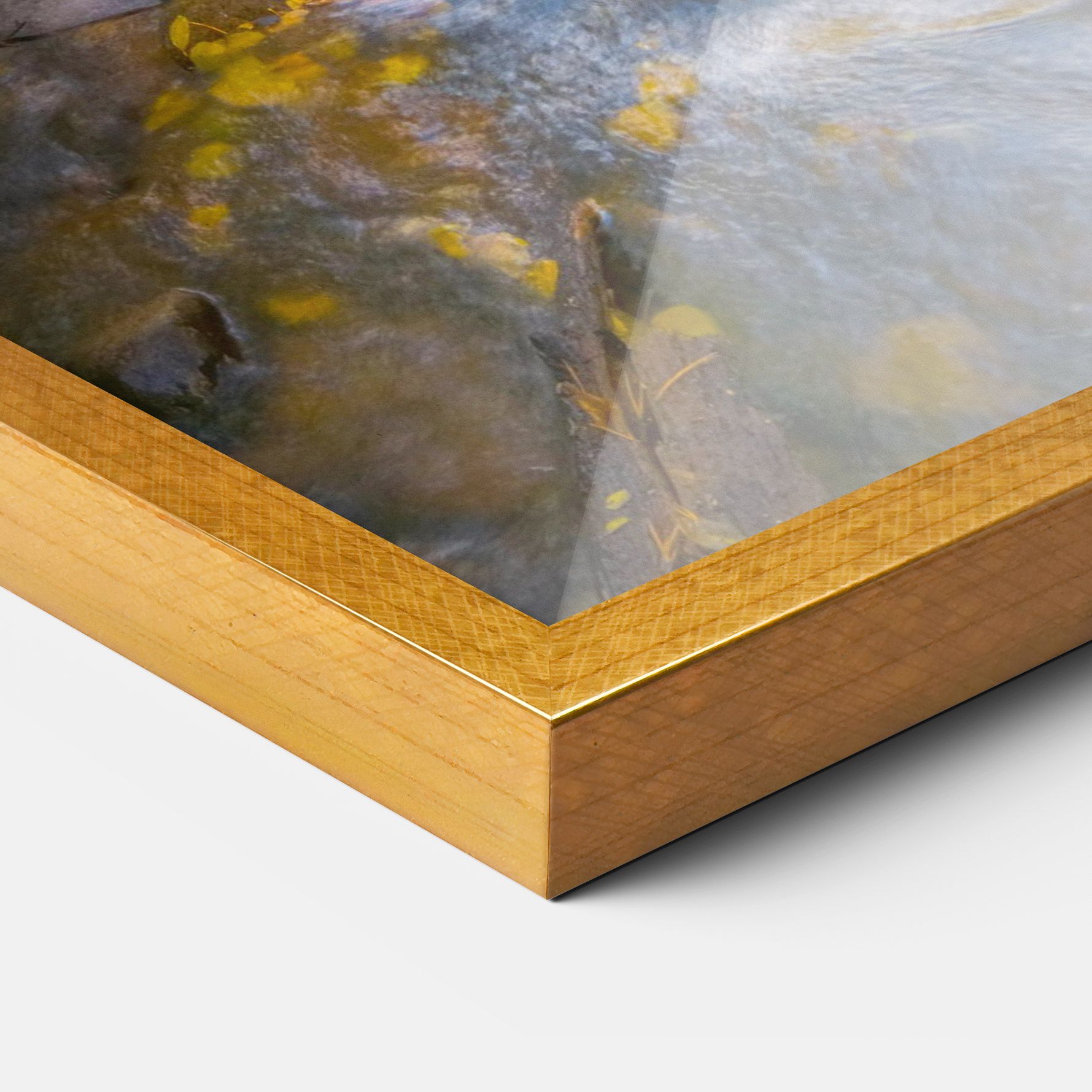 Yellow View Forest mockup 3