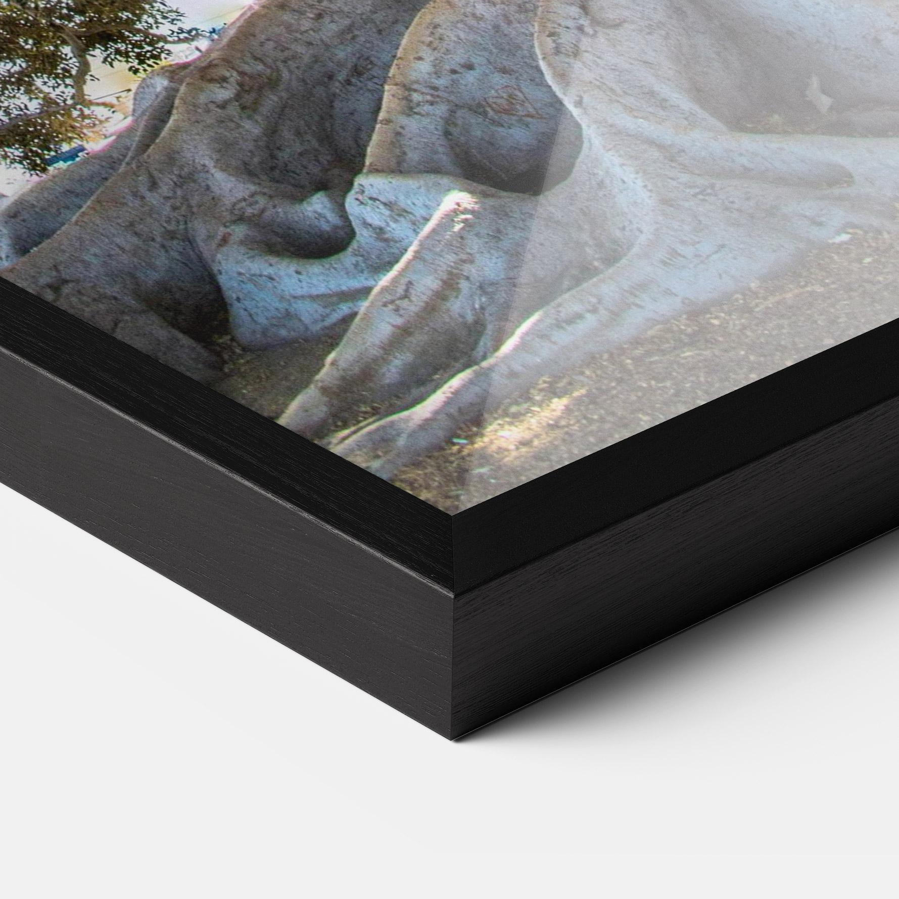 Keretezett Poszter Big Old Tree mockup 3