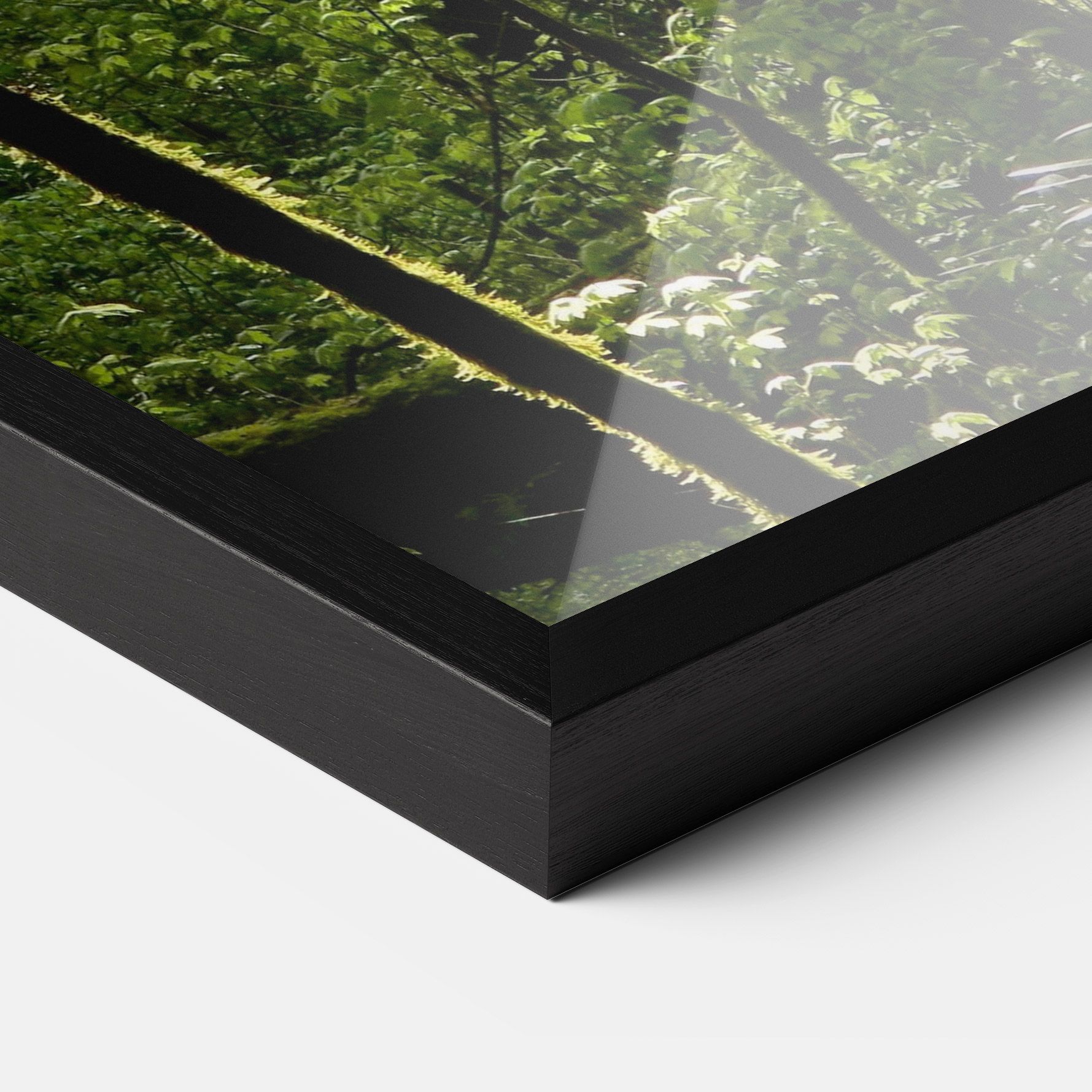 Forest Black Trees mockup 3
