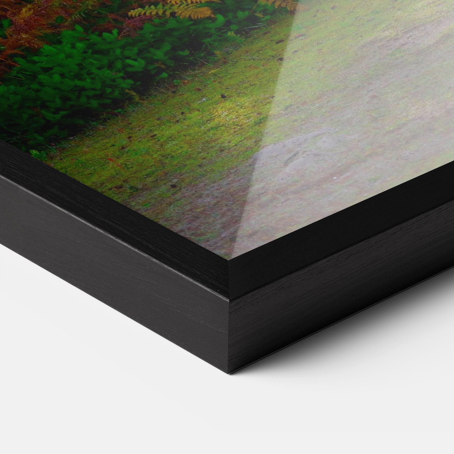 Keretezett Poszter Forest Light mockup 3