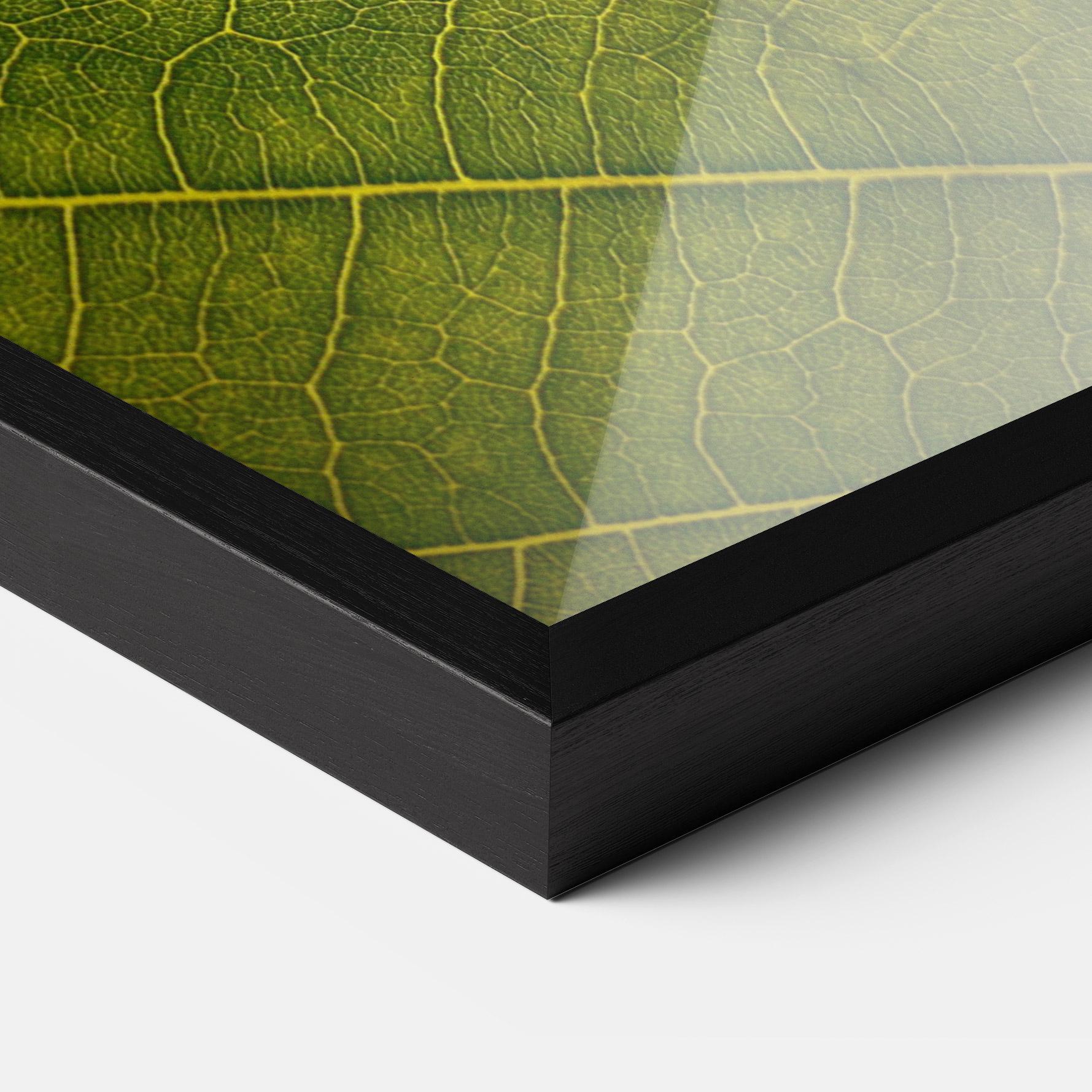 Keretezett Poszter Leaf Closeup Forest mockup 3