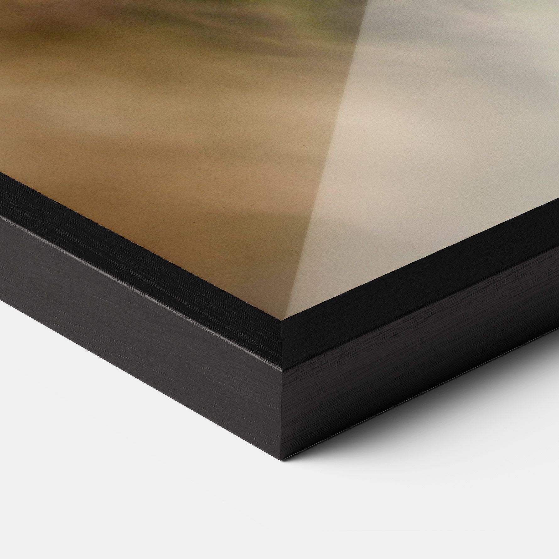 Mushroom Forest mockup 3