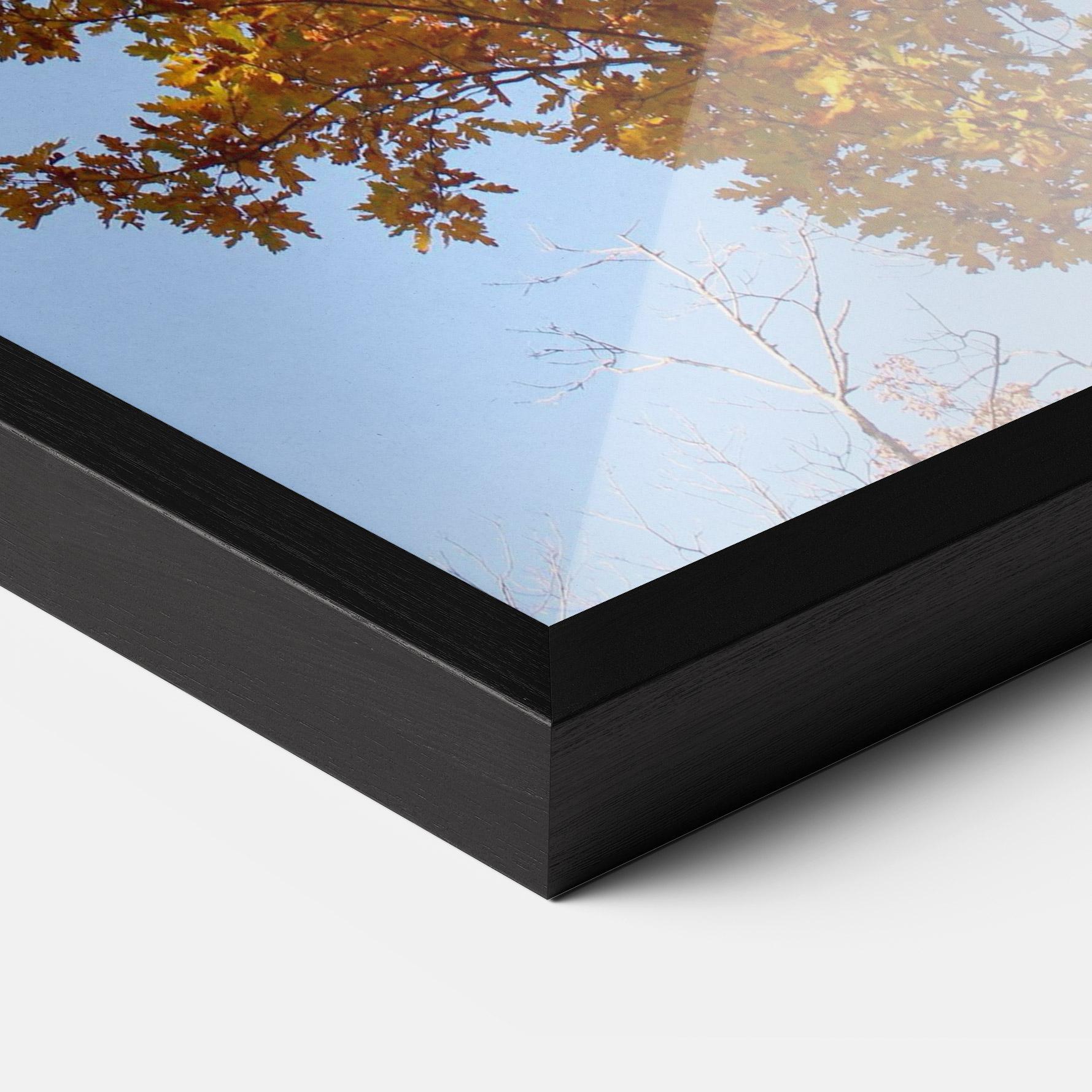 Keretezett Poszter Yellow Tree Forest mockup 3