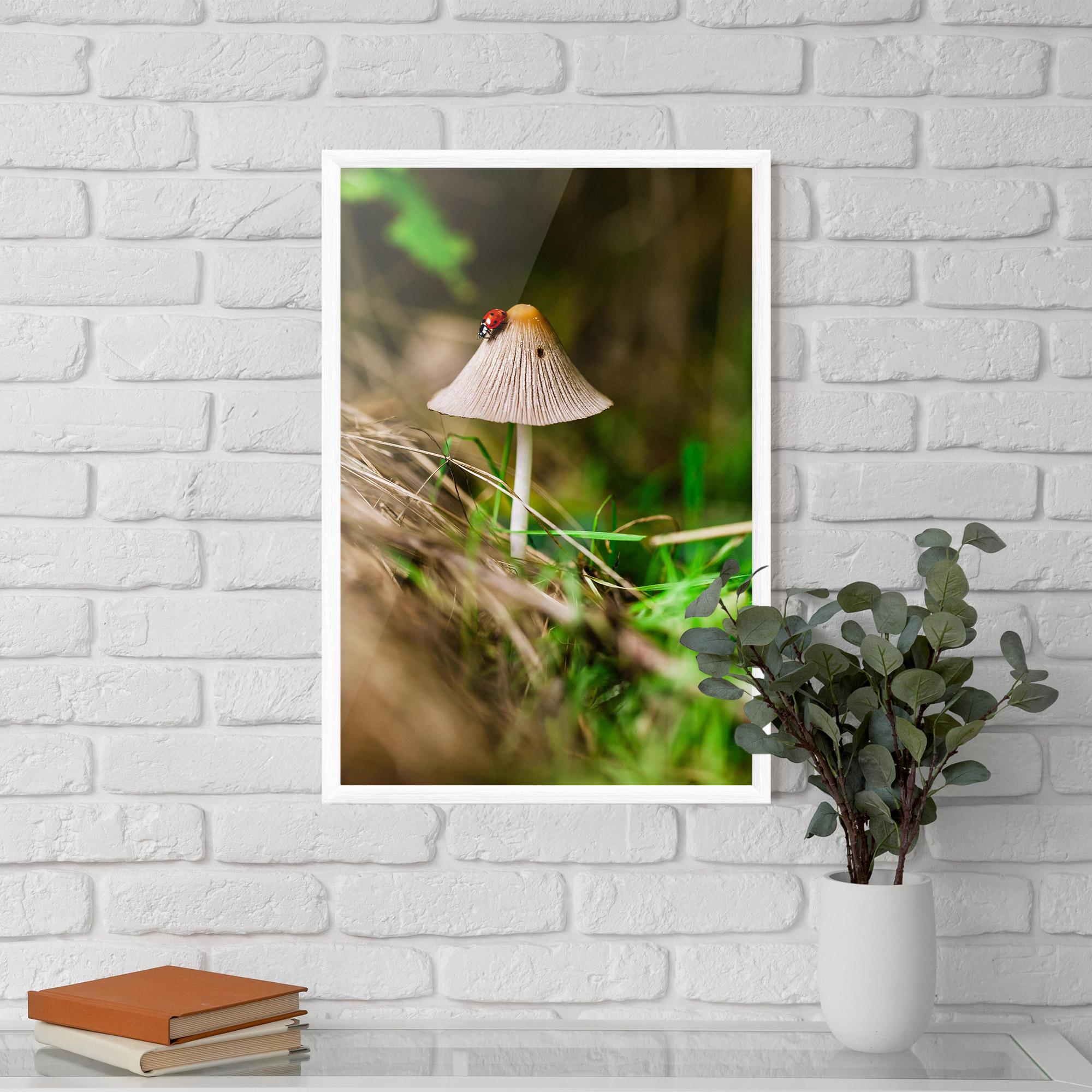 Keretezett Poszter Mushroom Forest mockup 5