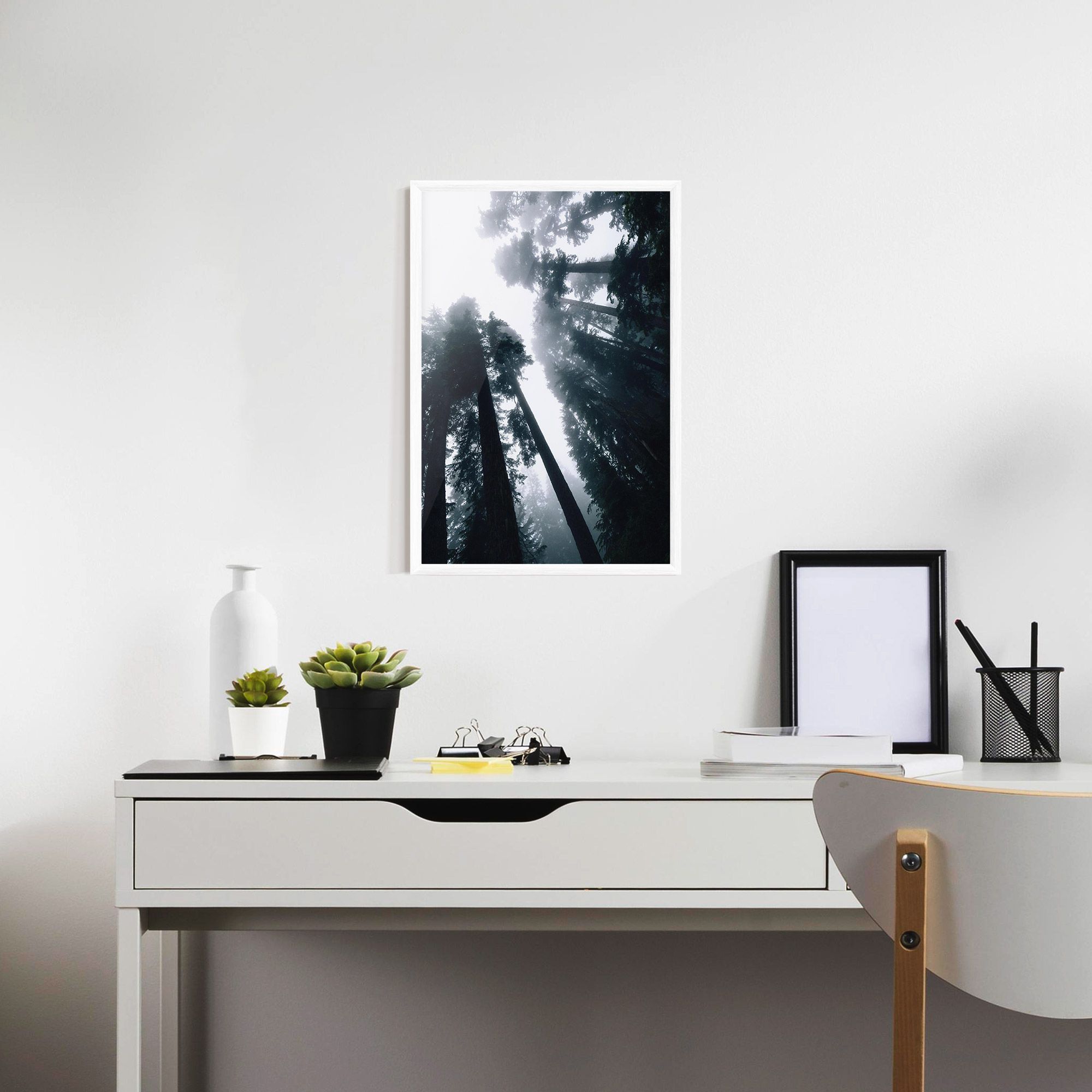 Foggy Big Trees mockup 7