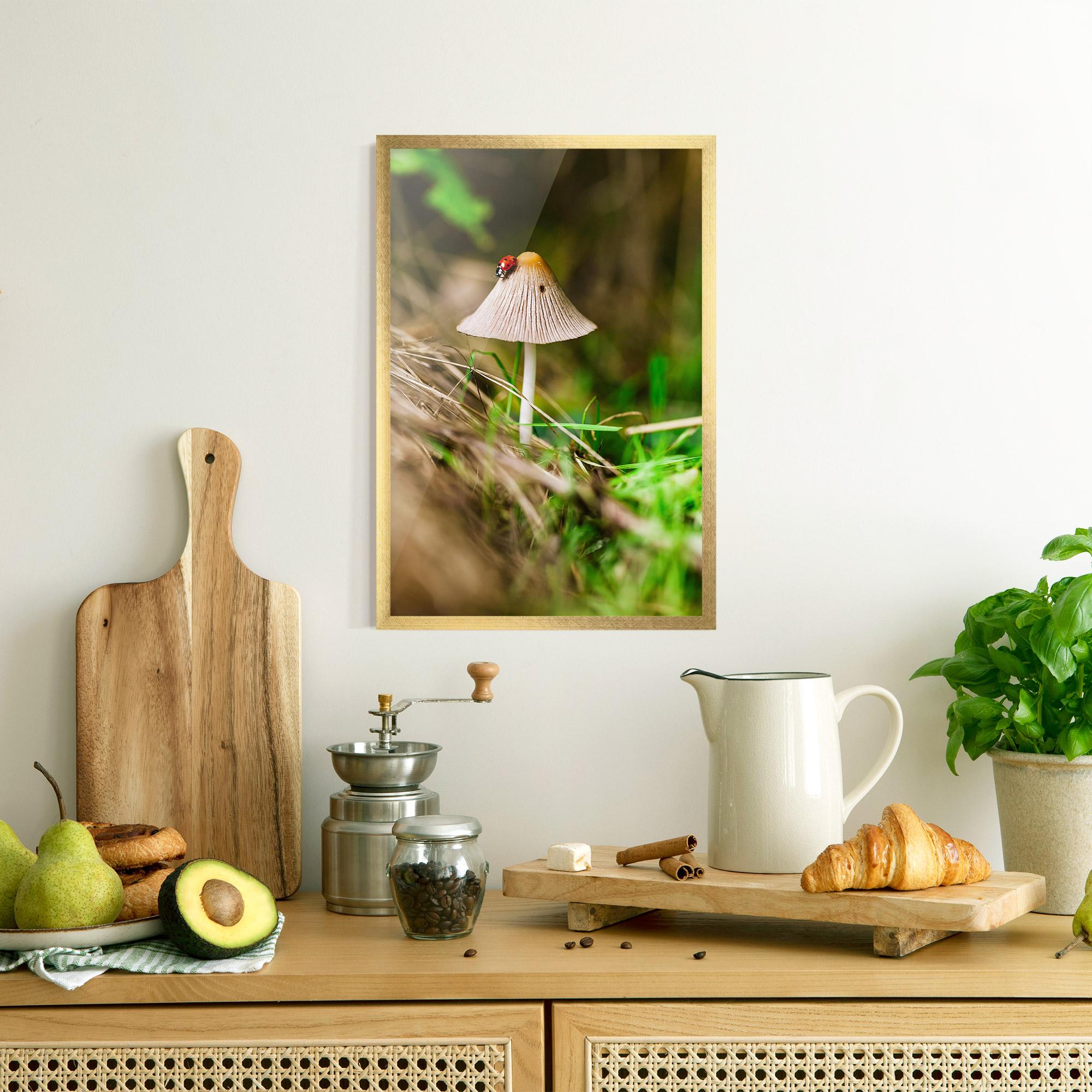 Keretezett Poszter Mushroom Forest mockup 8