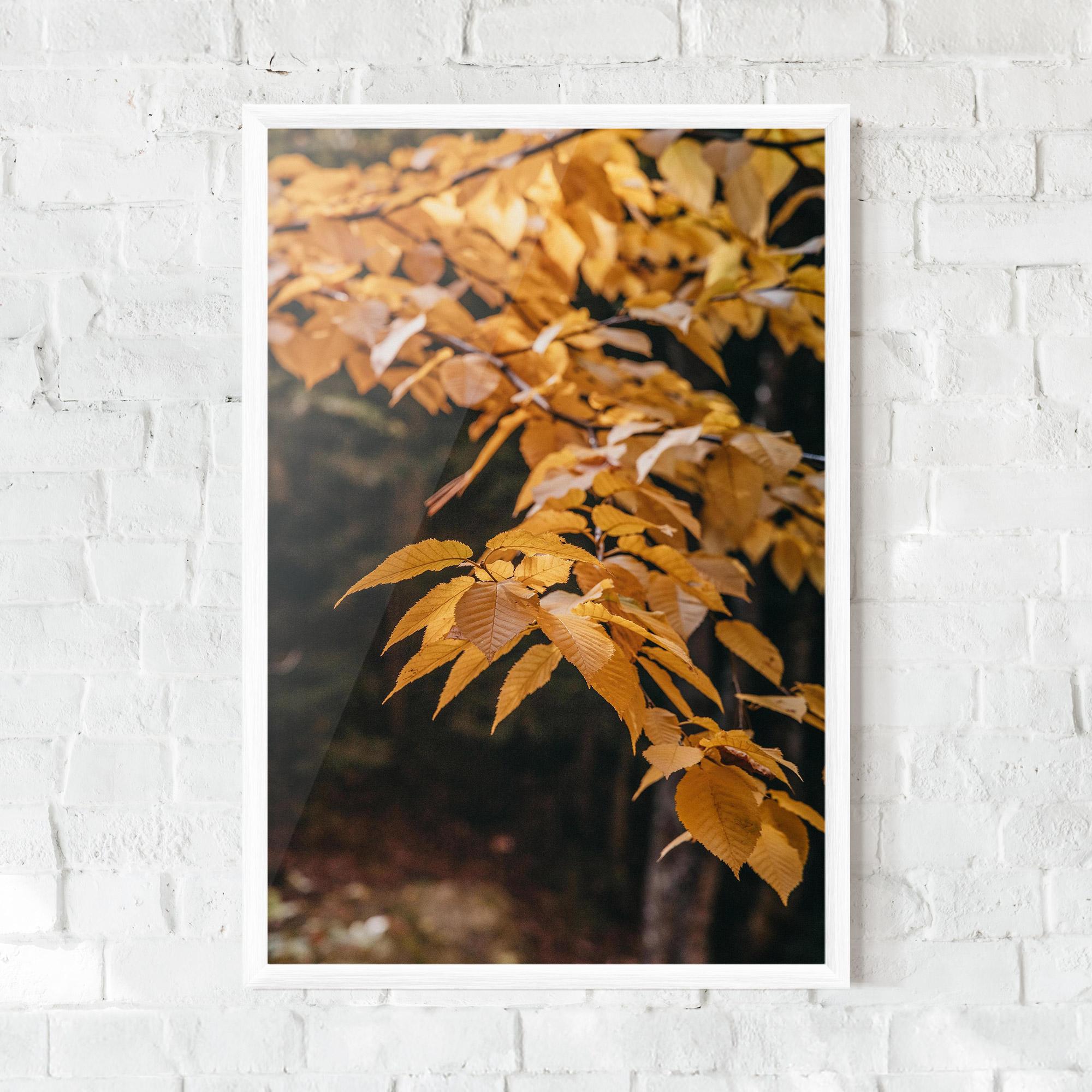 Keretezett Poszter Autumn Nature mockup 0