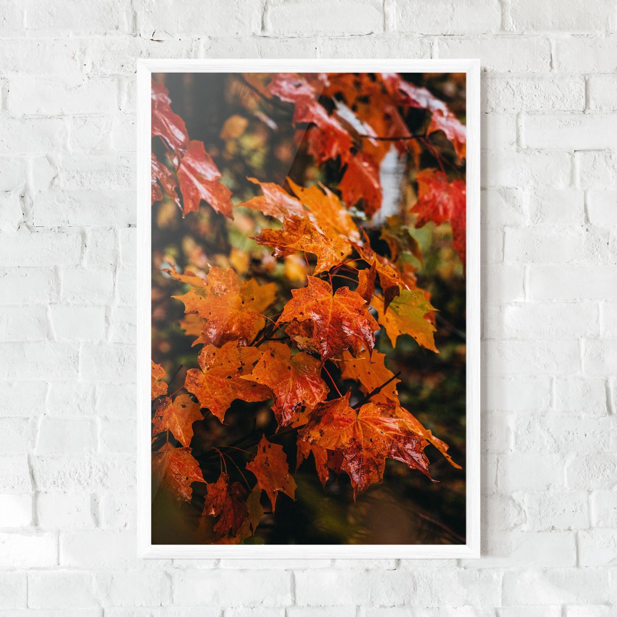 Keretezett Poszter Orange Autumn Leaves mockup 0