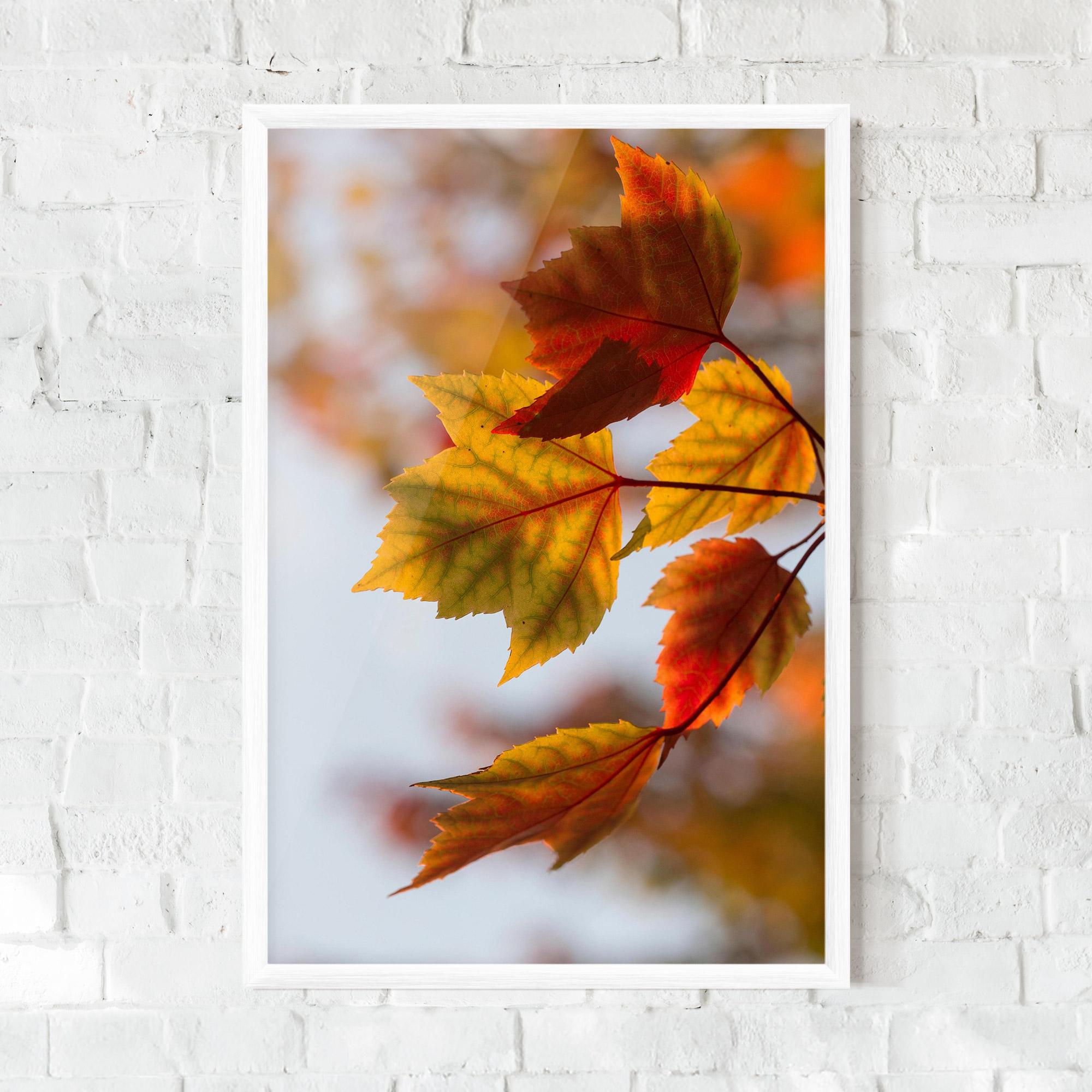 Keretezett Poszter Red Yellow Autumn mockup 0