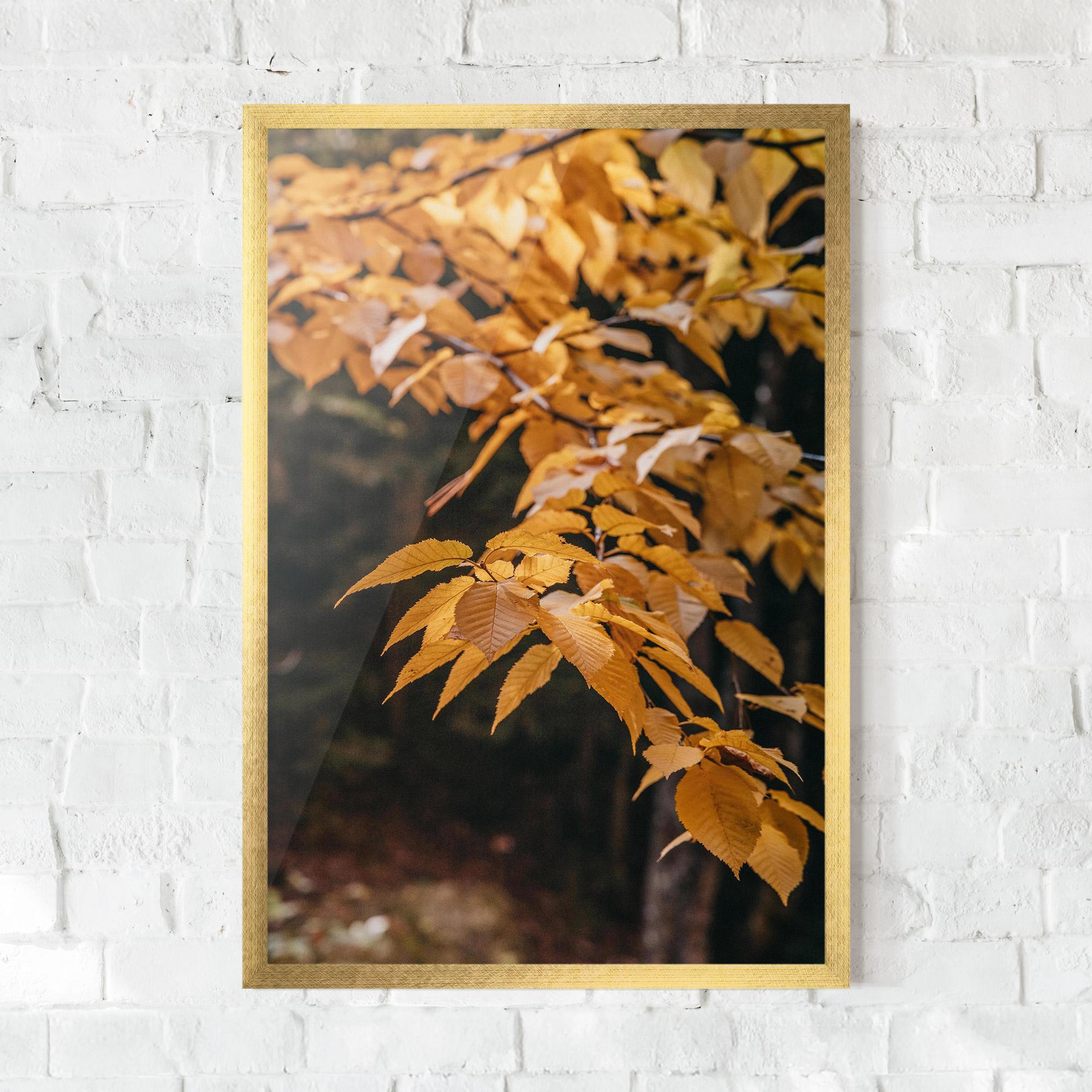 Keretezett Poszter Autumn Nature mockup 0