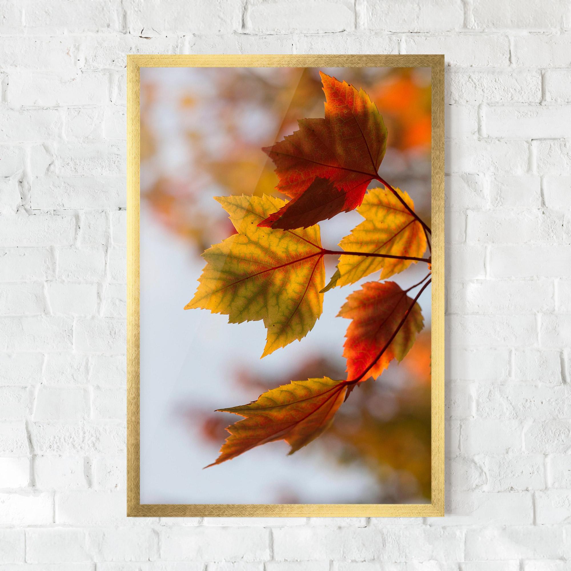 Keretezett Poszter Red Yellow Autumn mockup 0