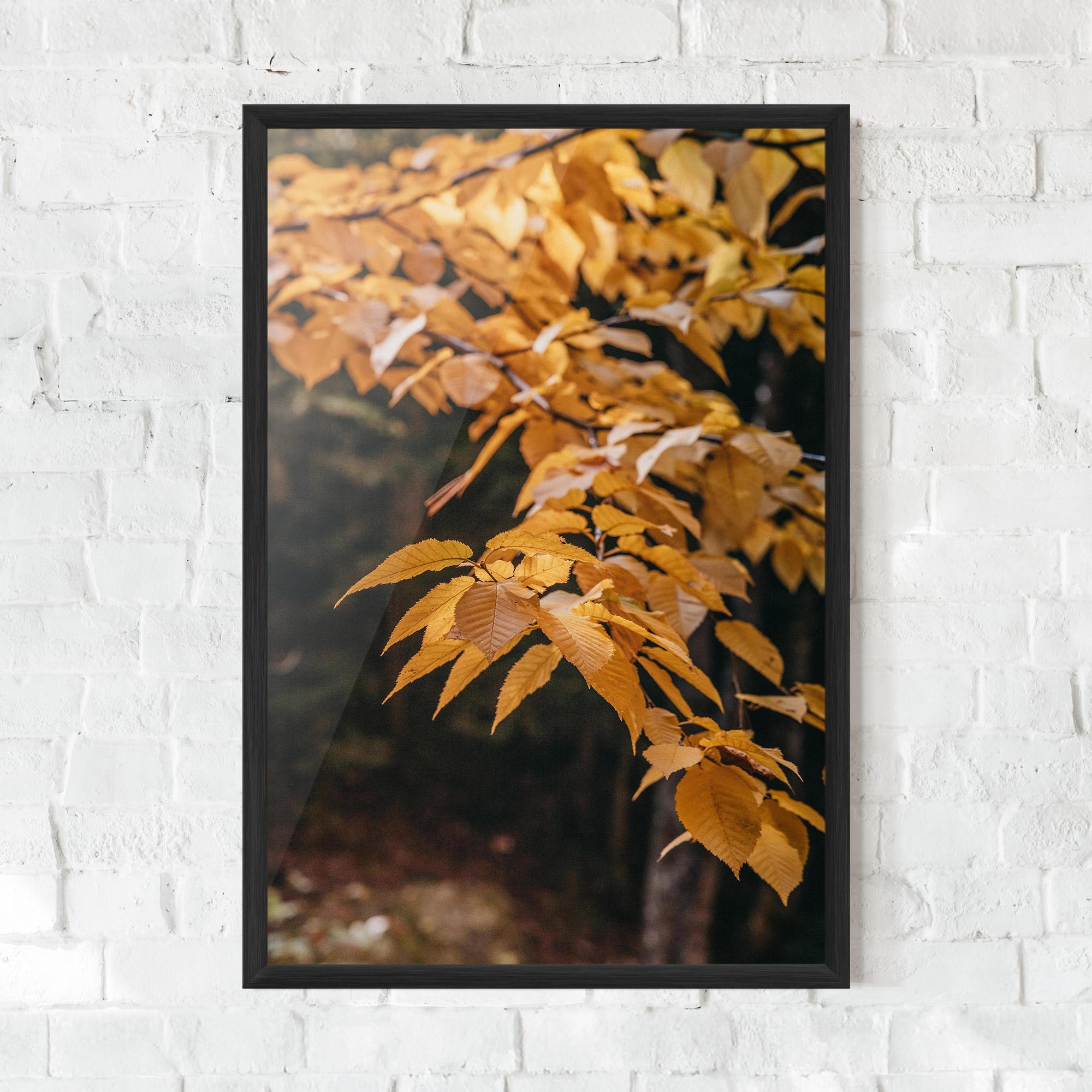 Keretezett Poszter Autumn Nature mockup 0