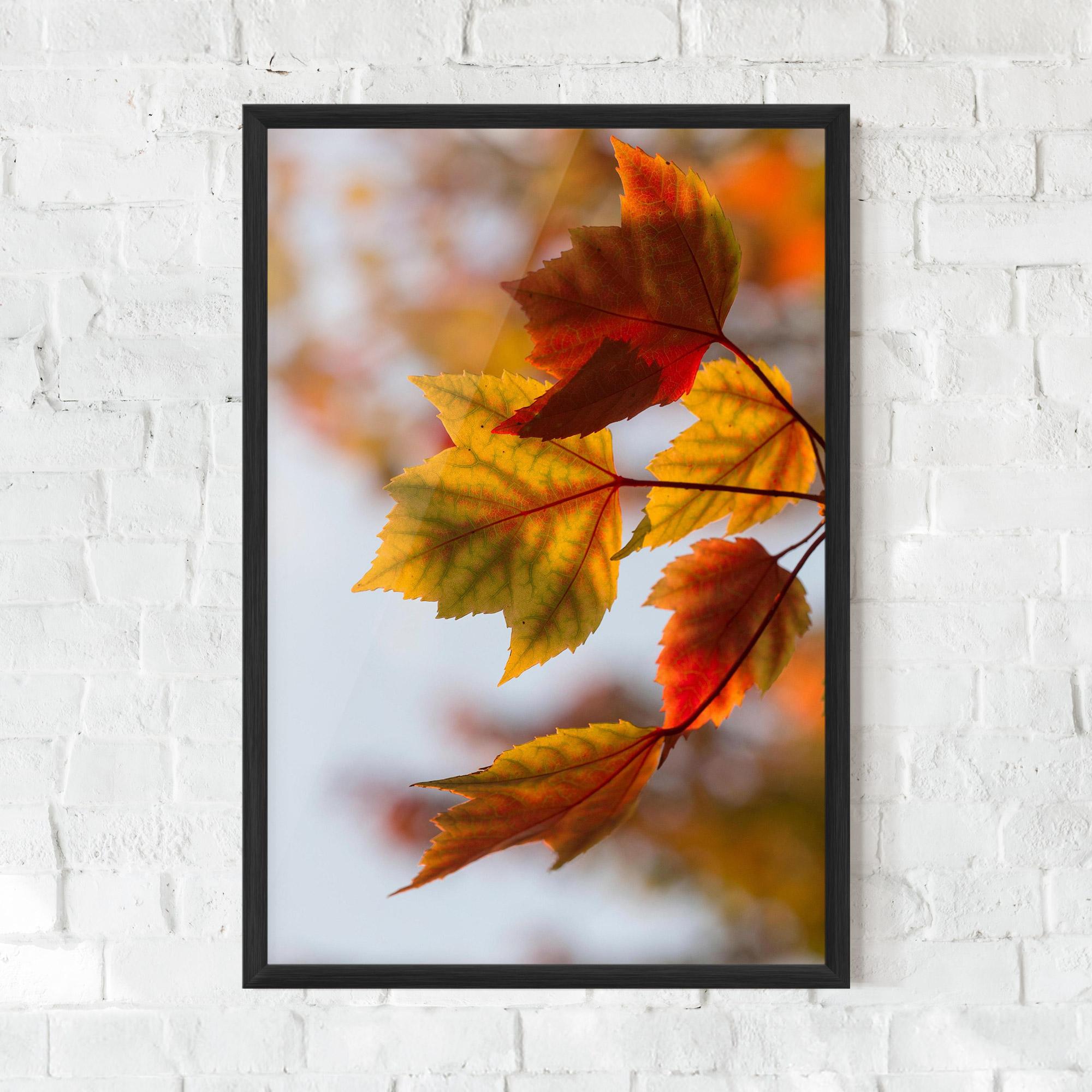 Keretezett Poszter Red Yellow Autumn mockup 0
