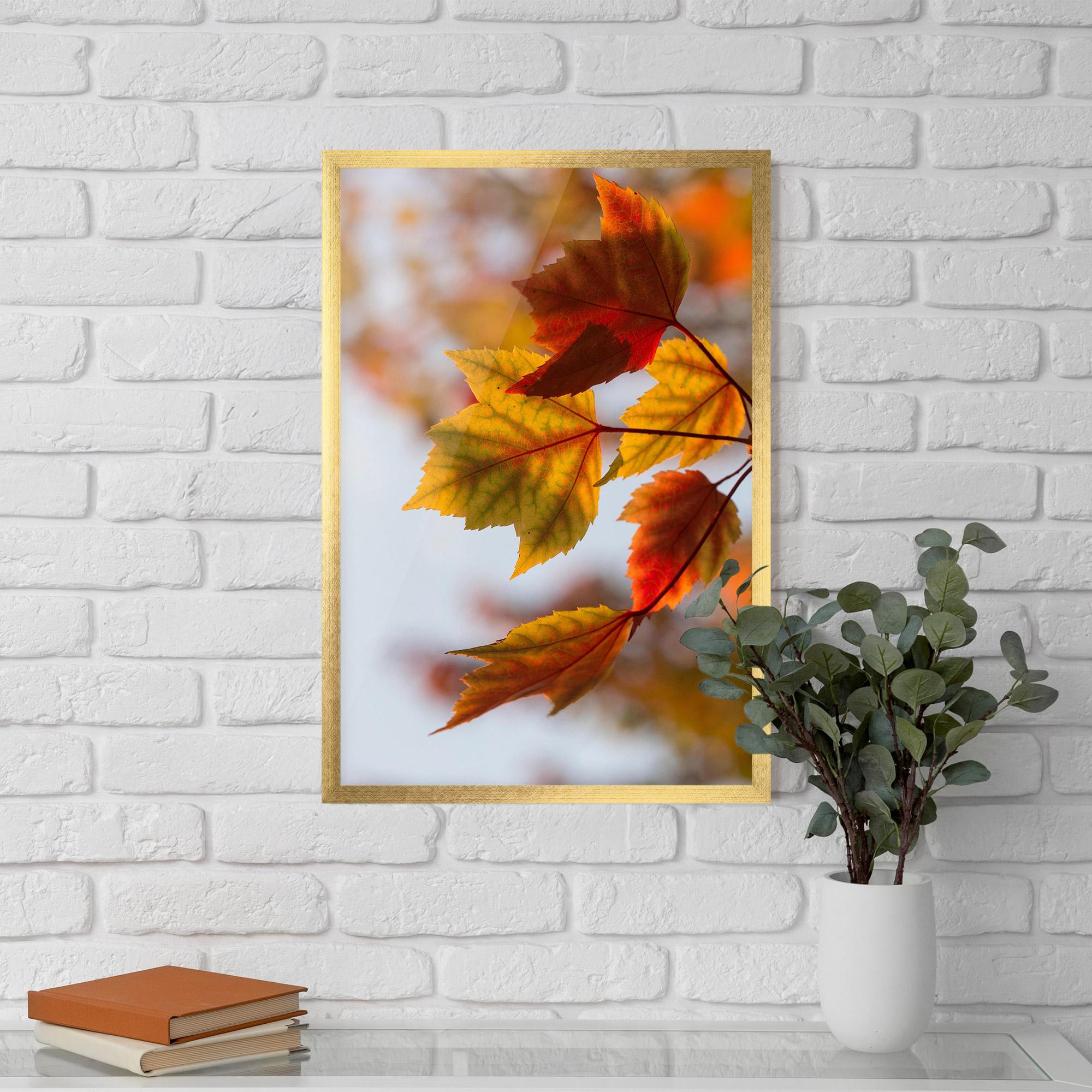 Keretezett Poszter Red Yellow Autumn mockup 5