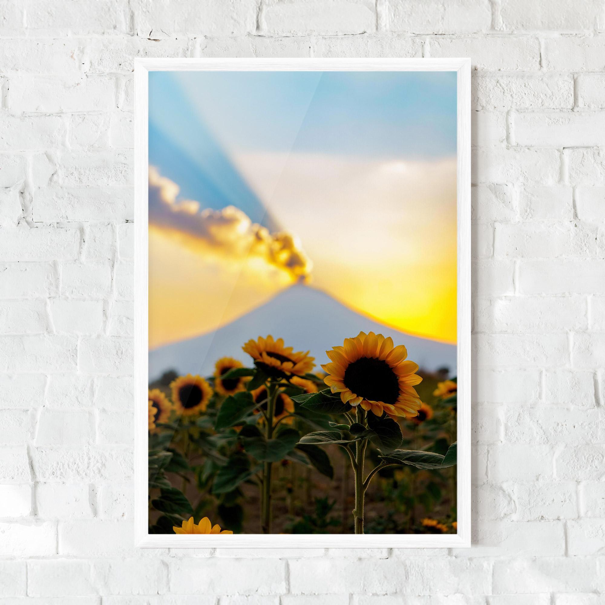 Keretezett Poszter Sunflower Sunset mockup 0