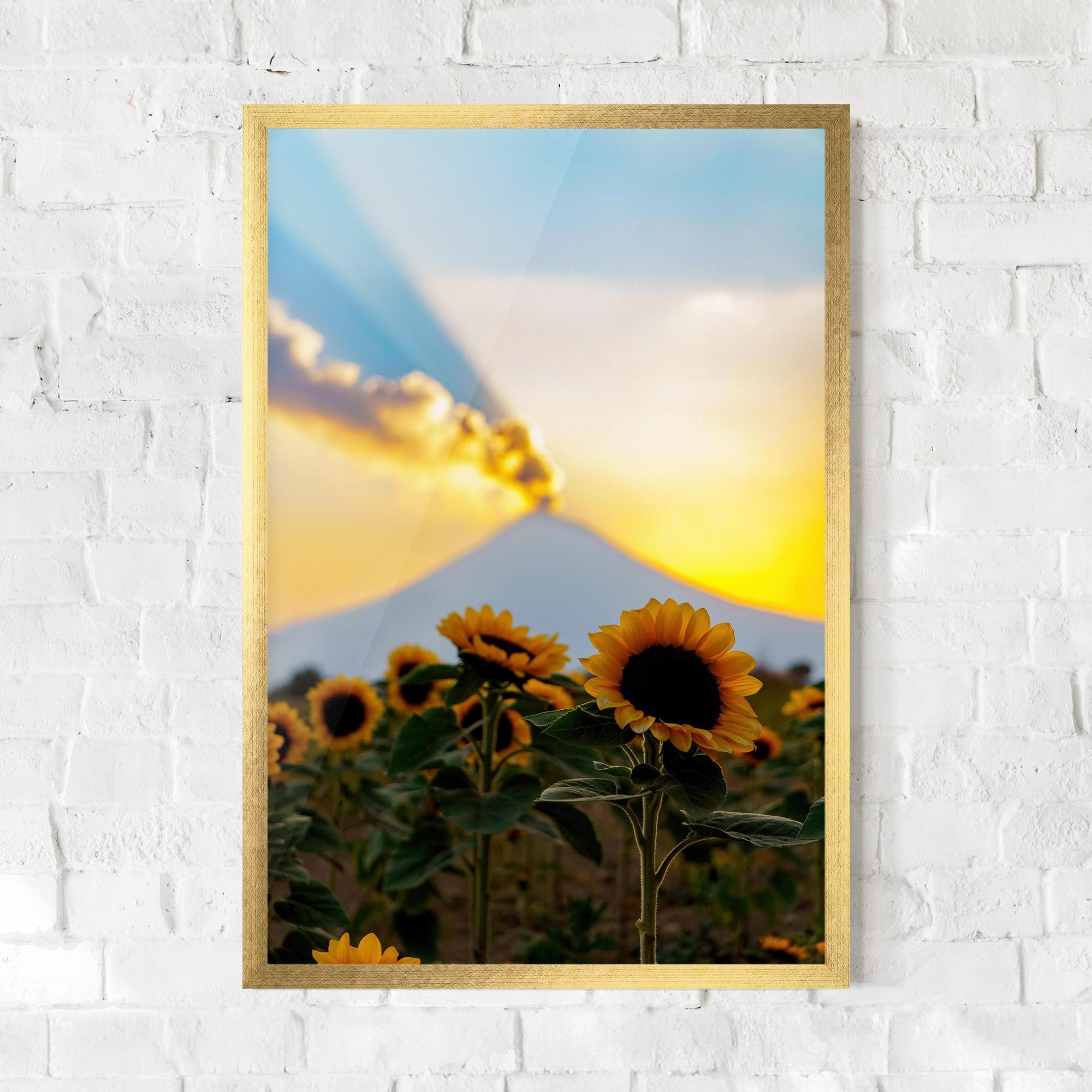 Keretezett Poszter Sunflower Sunset mockup 0