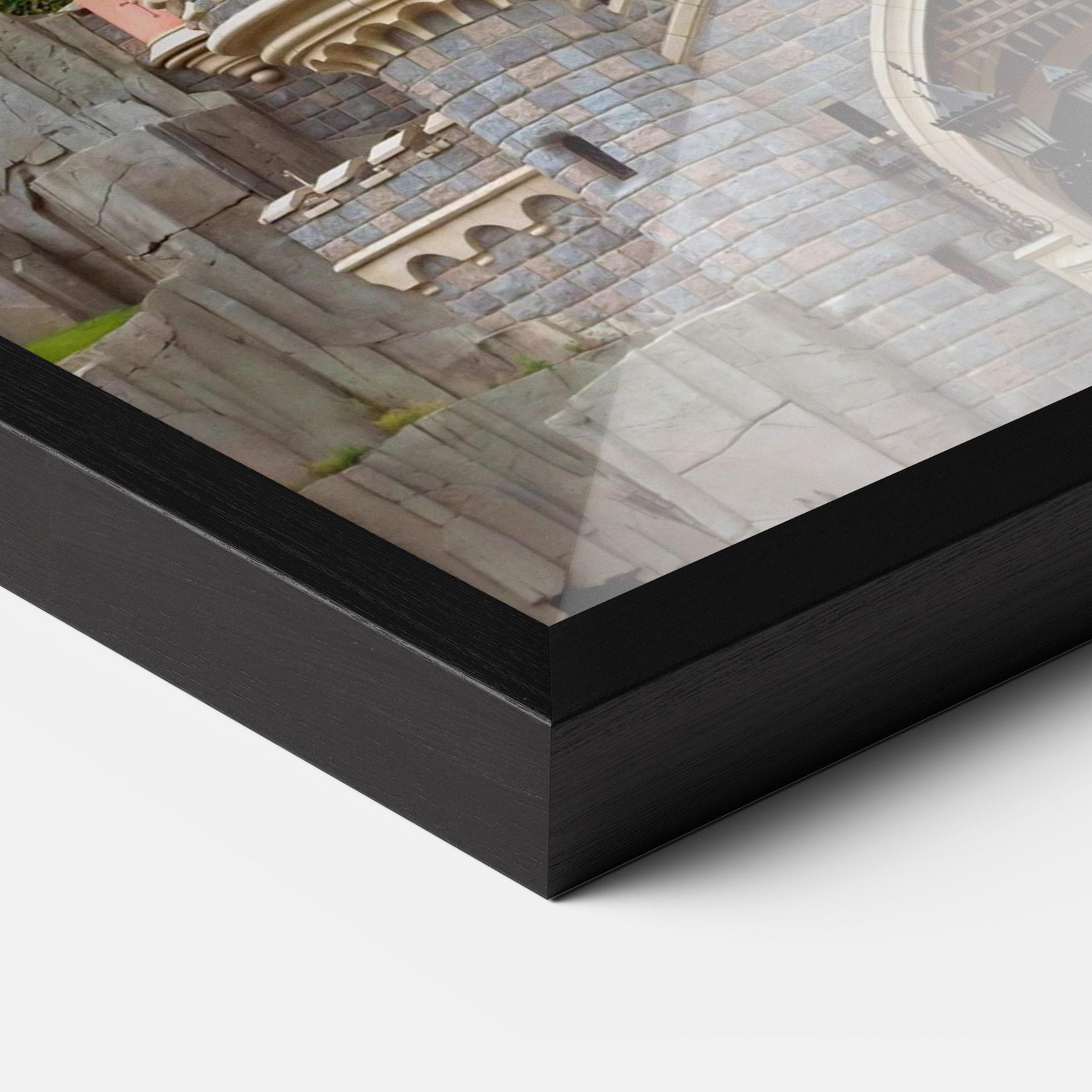 Keretezett Poszter Disneyland Castle mockup 3