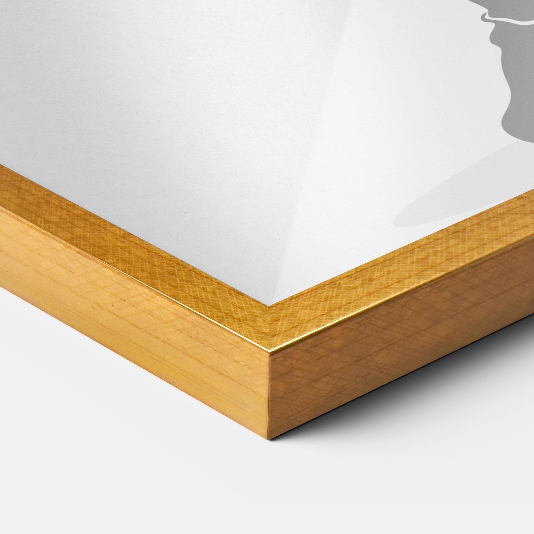 Professional Player mockup 3