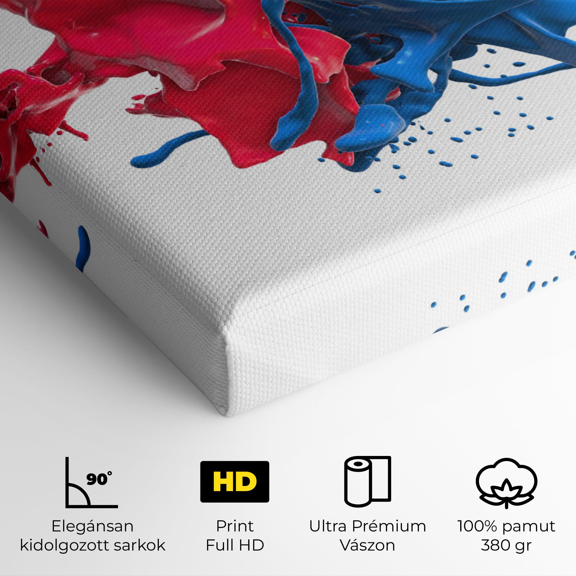 Vászonkép Pink And Blue Splash mockup 4