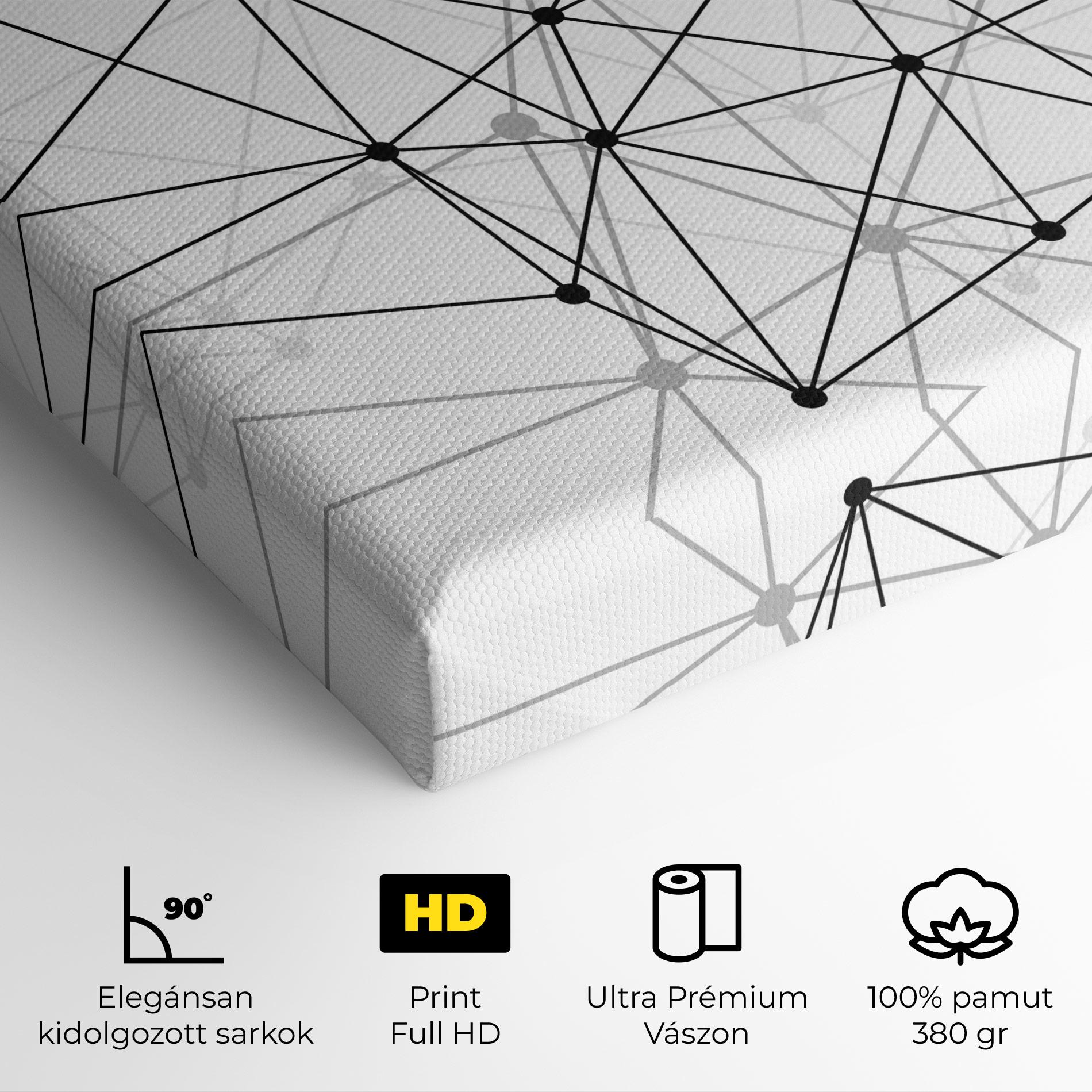 Vászonkép Black Connecting mockup 4