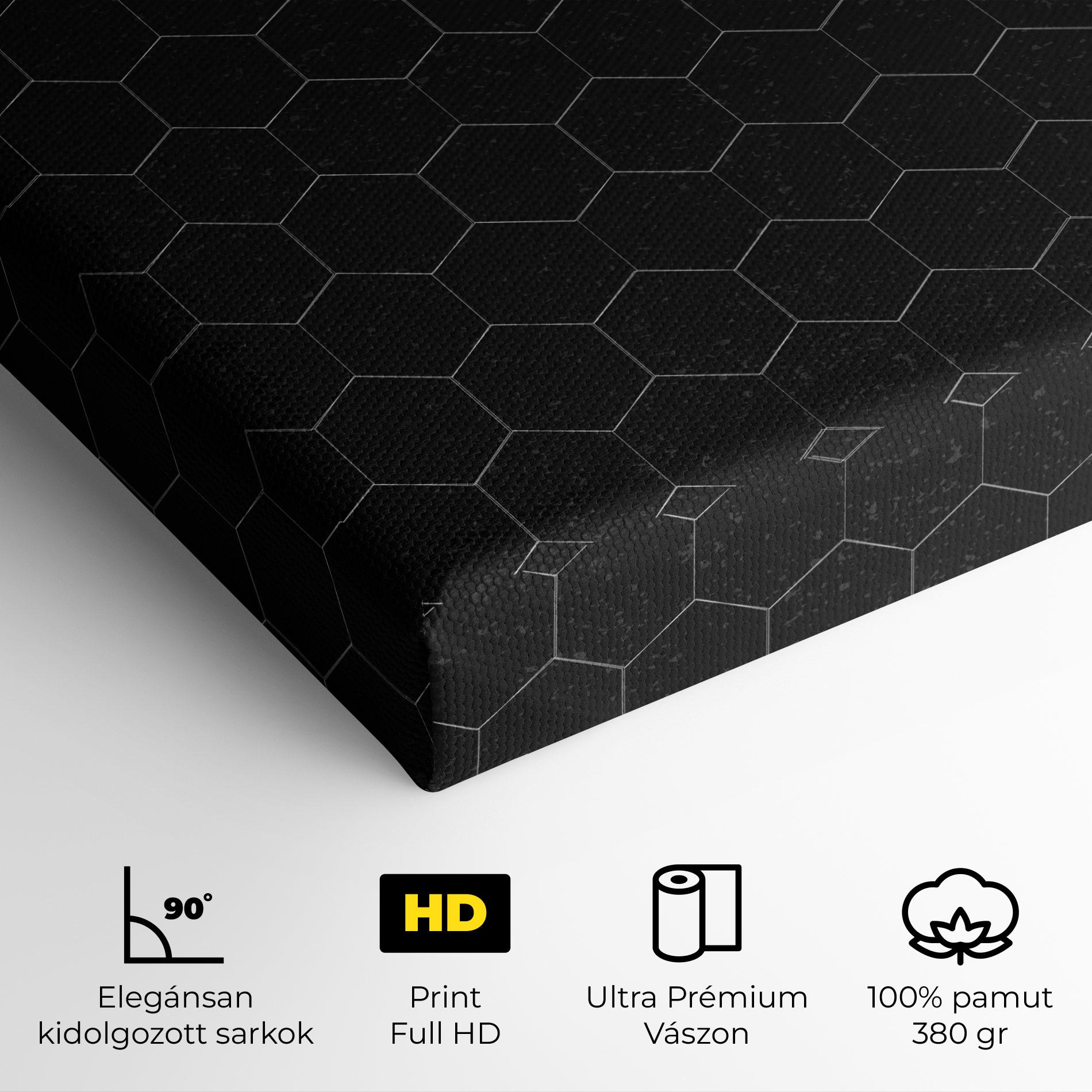 Vászonkép Black Hexagon mockup 4