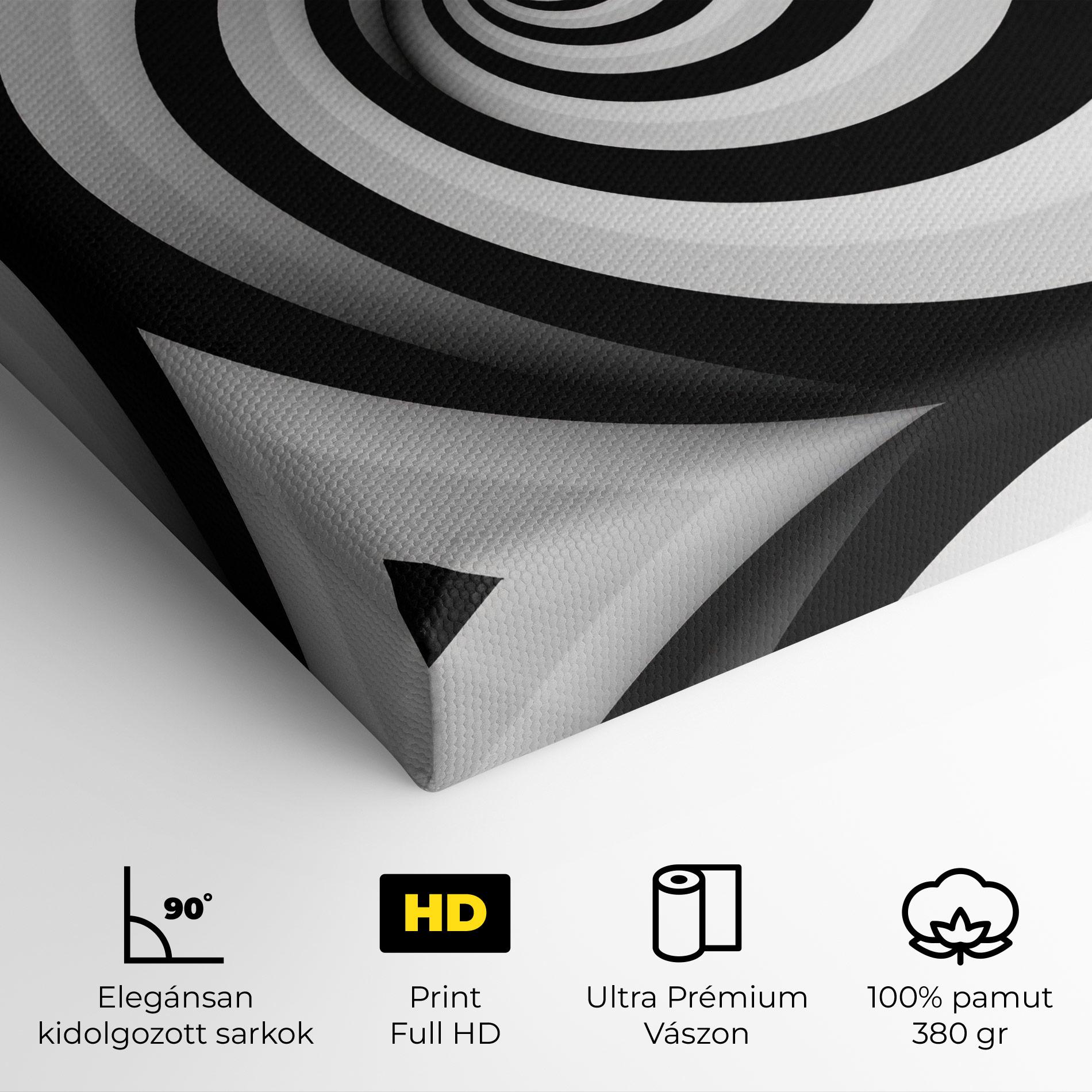 Vászonkép Black White Spiral mockup 4