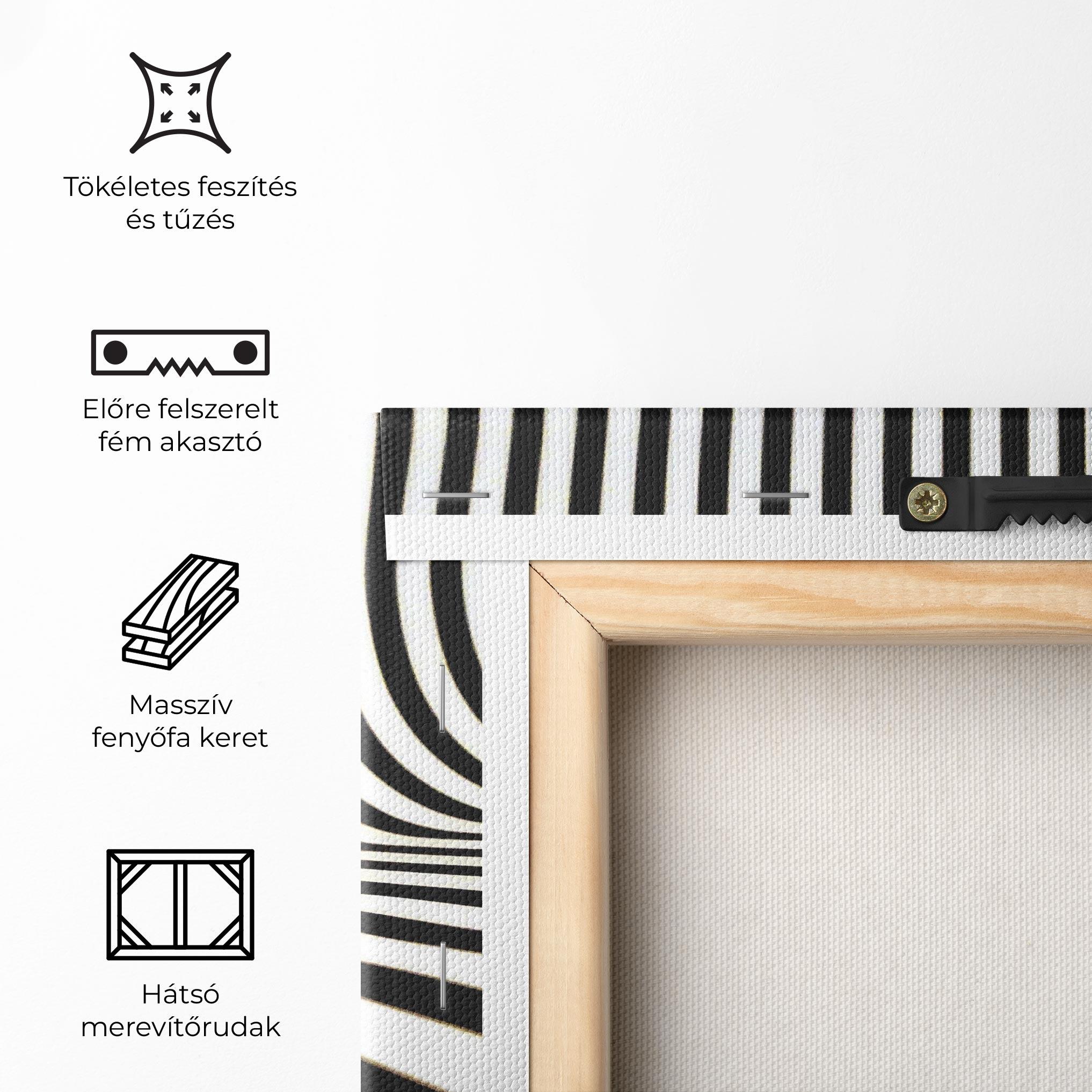 Vászonkép Black And White Illusion mockup 5