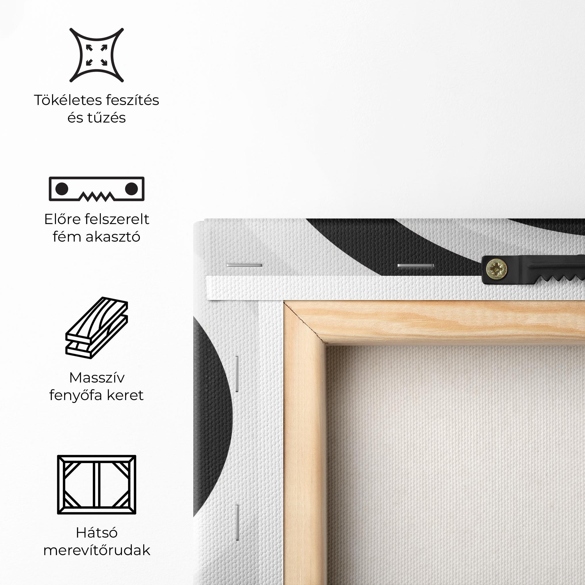 Vászonkép Black White Spiral mockup 5