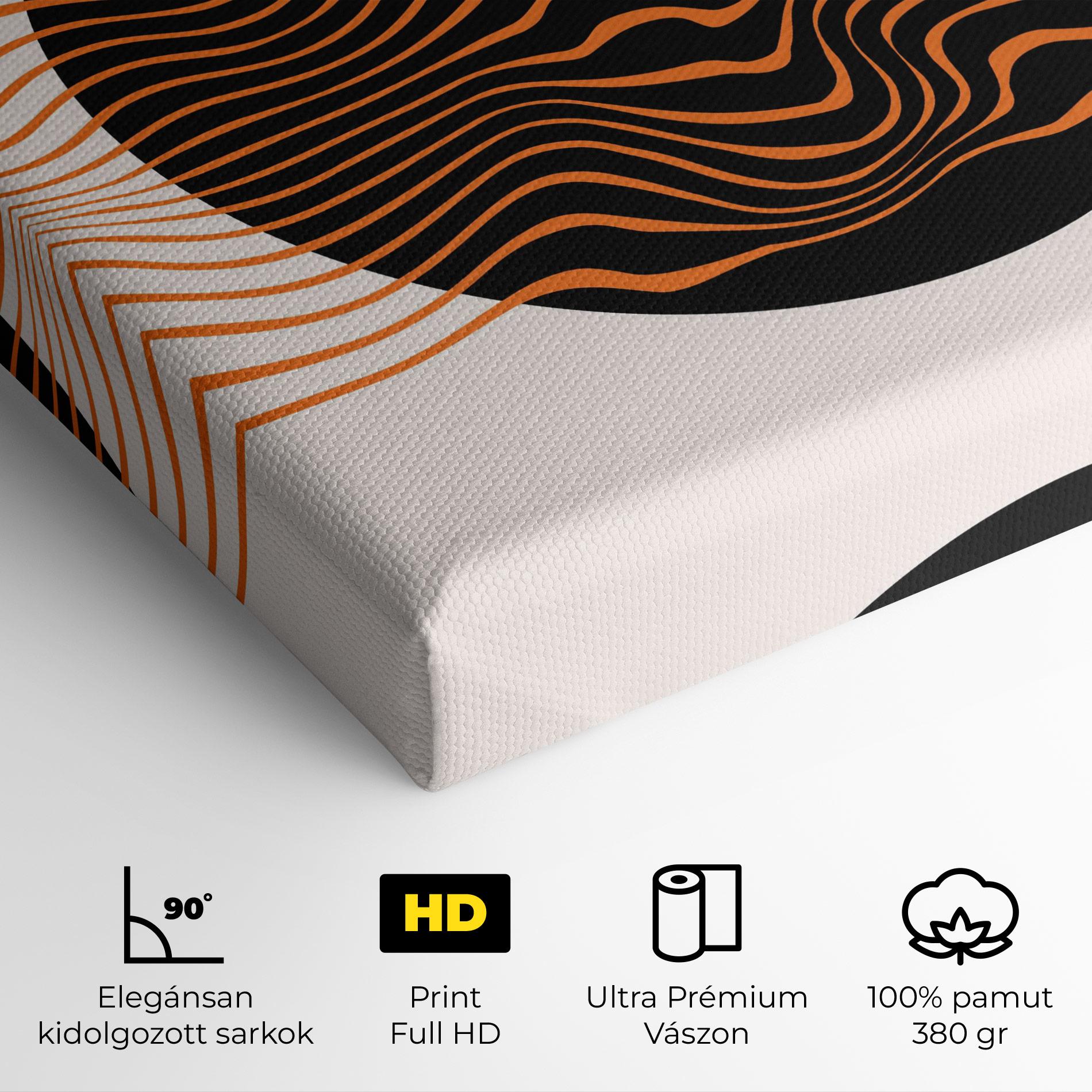 Vászonkép Black Circle mockup 4