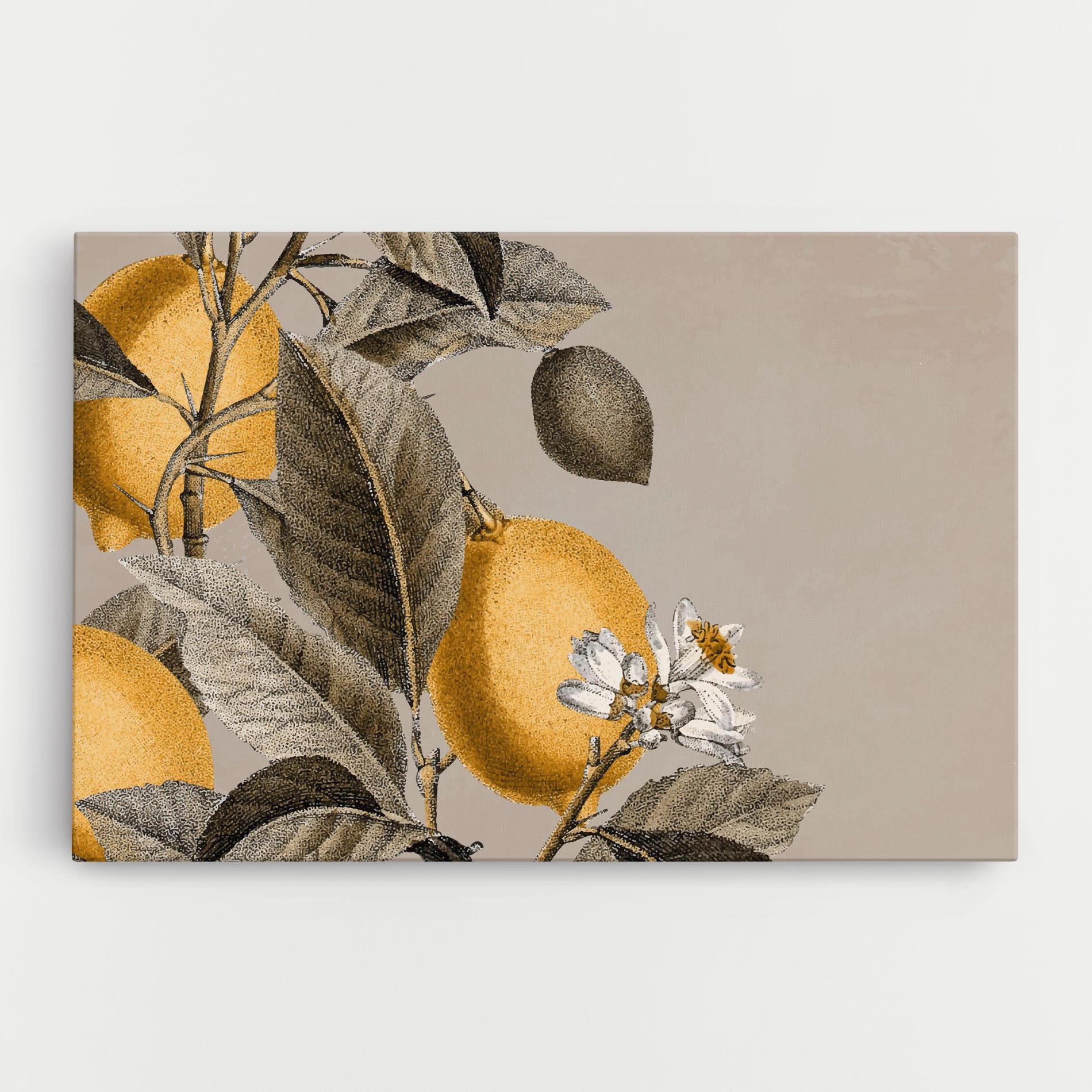 Vászonkép Lime Tree mockup 0