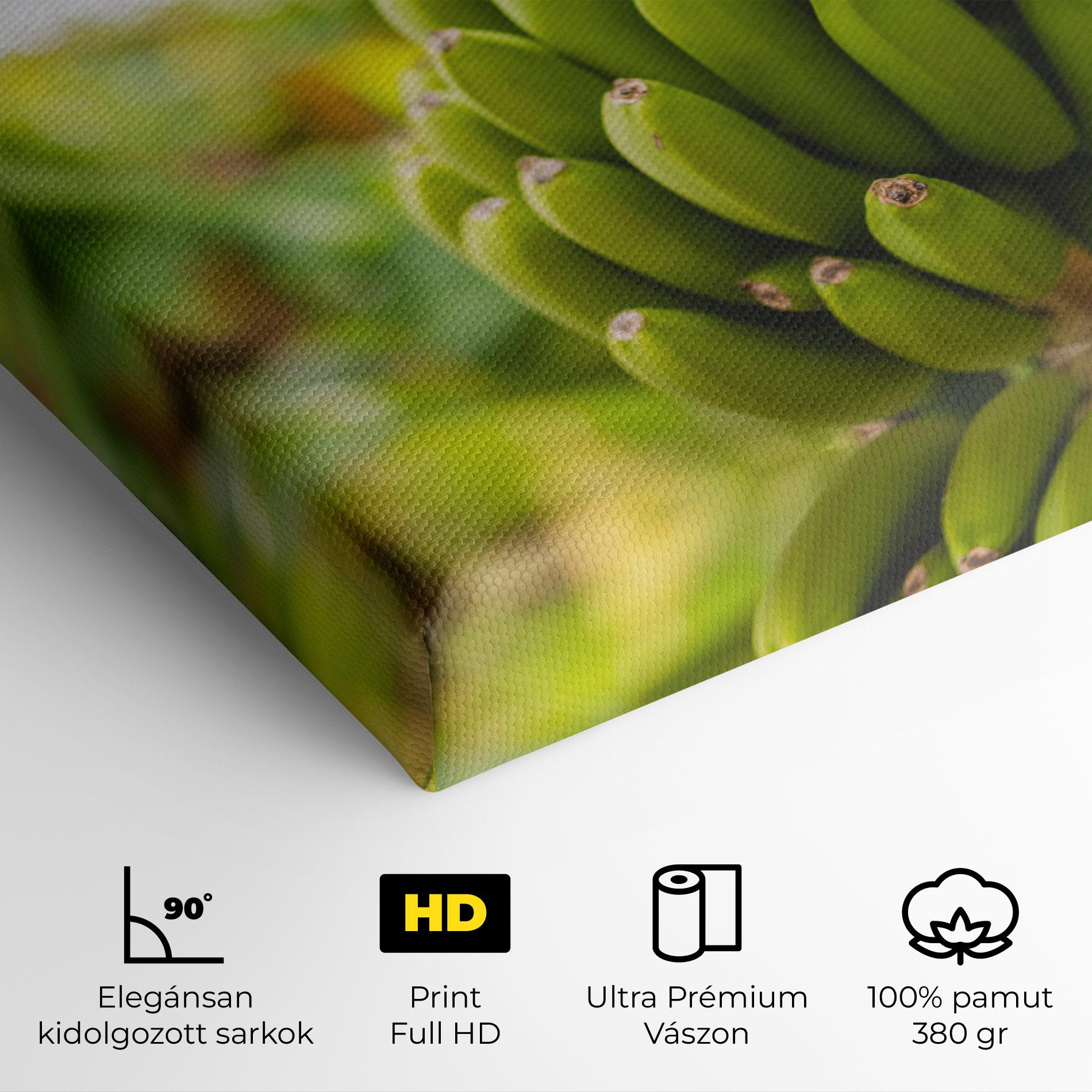 Vászonkép Green Banana mockup 4