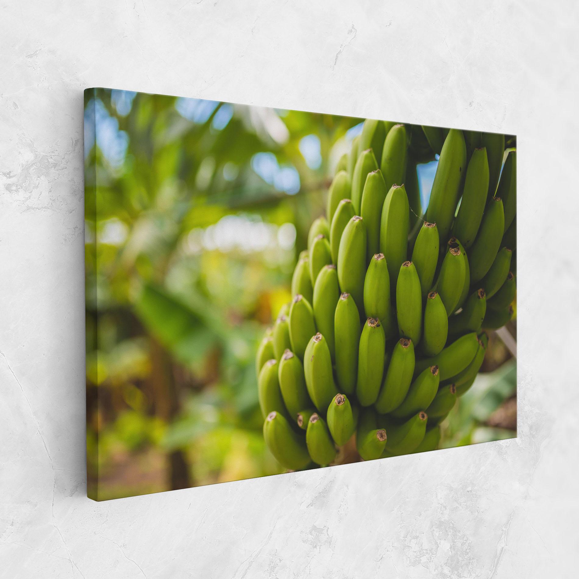 Vászonkép Green Banana mockup 1