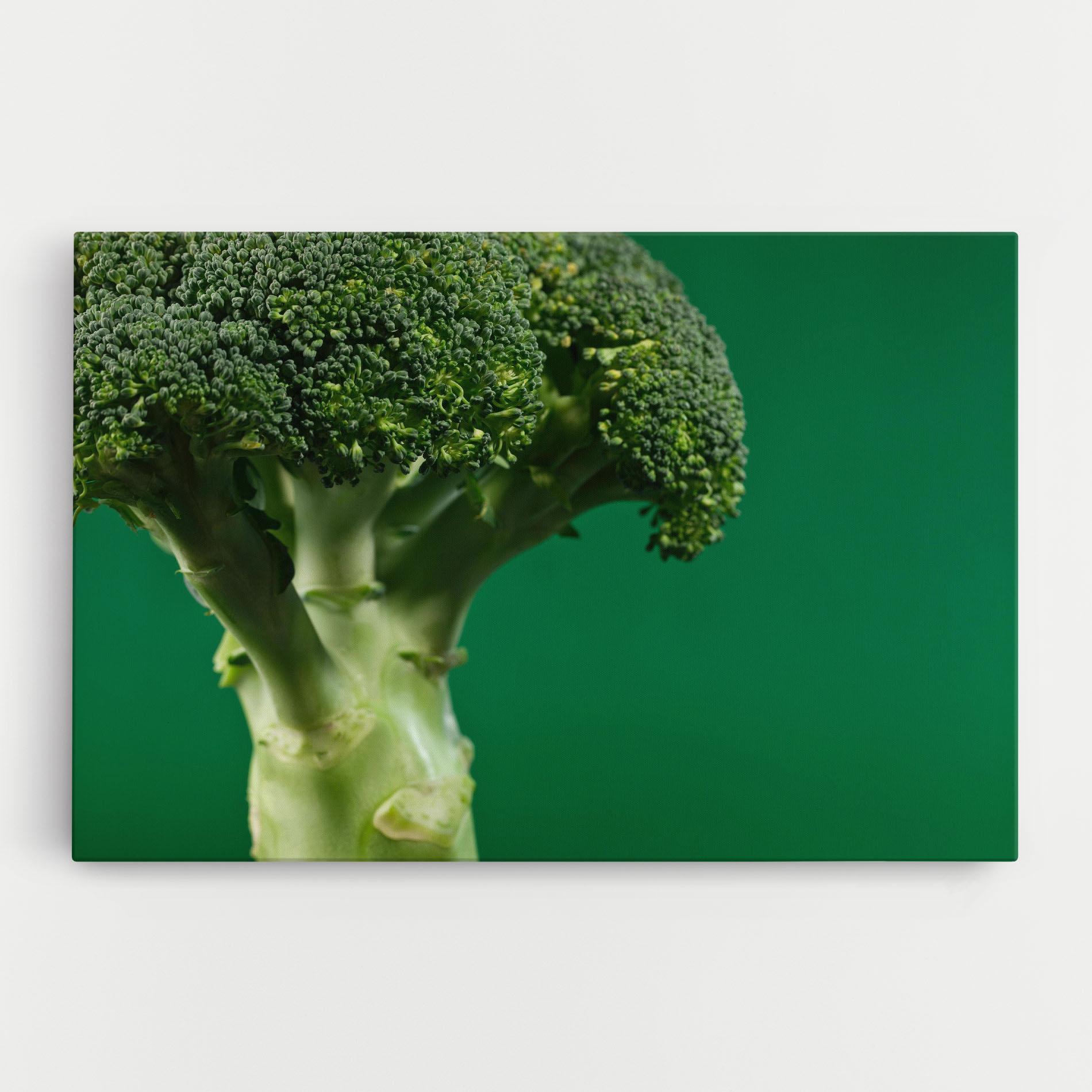 Vászonkép Broccoli mockup 0
