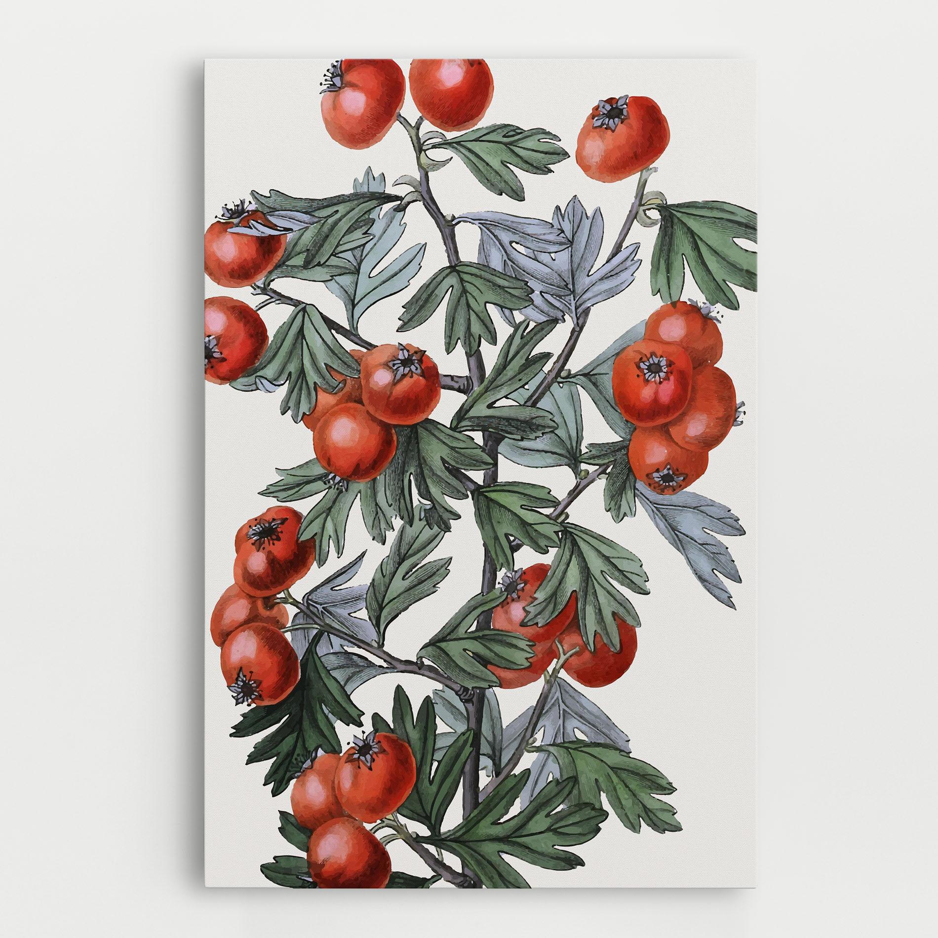 Vászonkép Cherry Drawing mockup 0