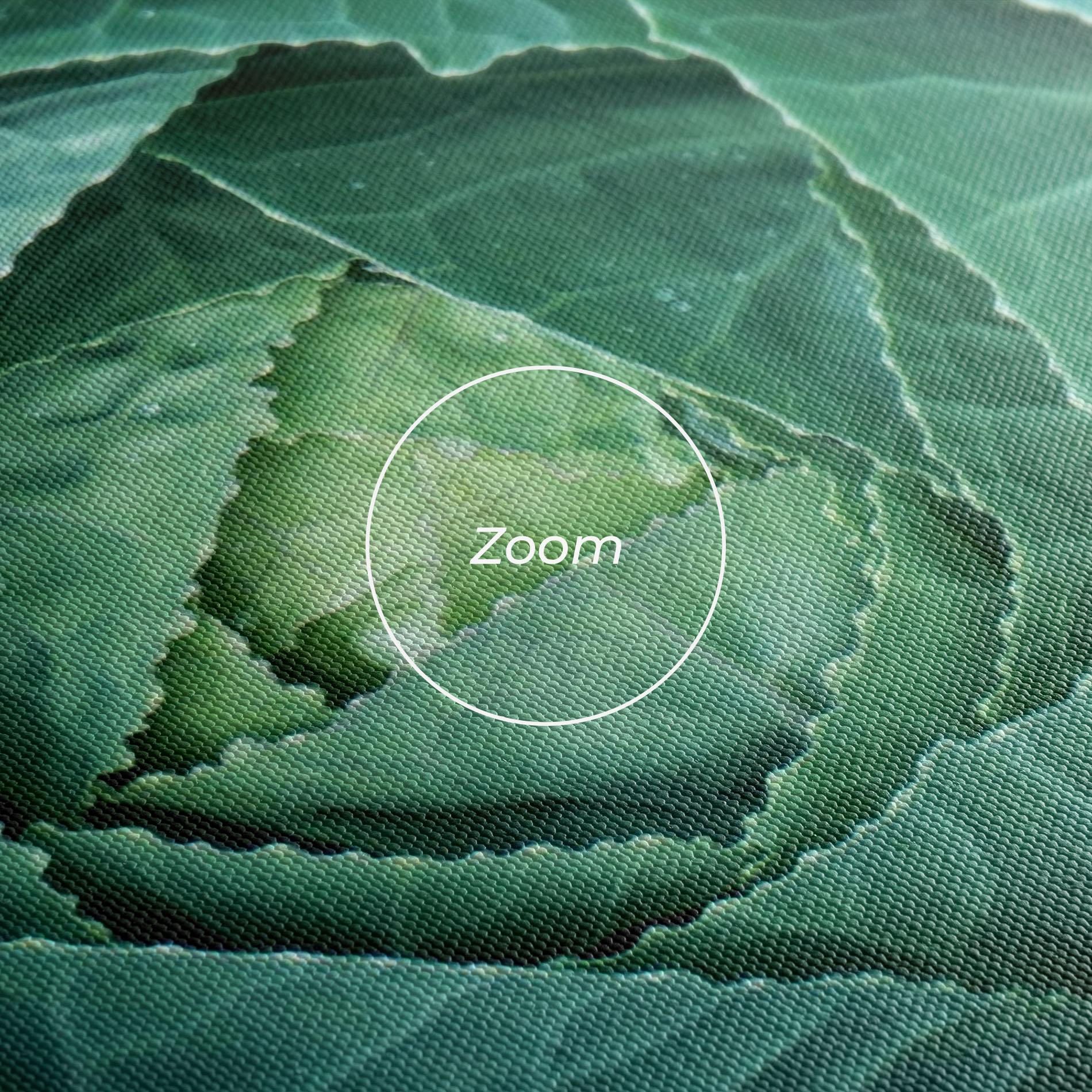 Vászonkép Blue Lettuce mockup 3