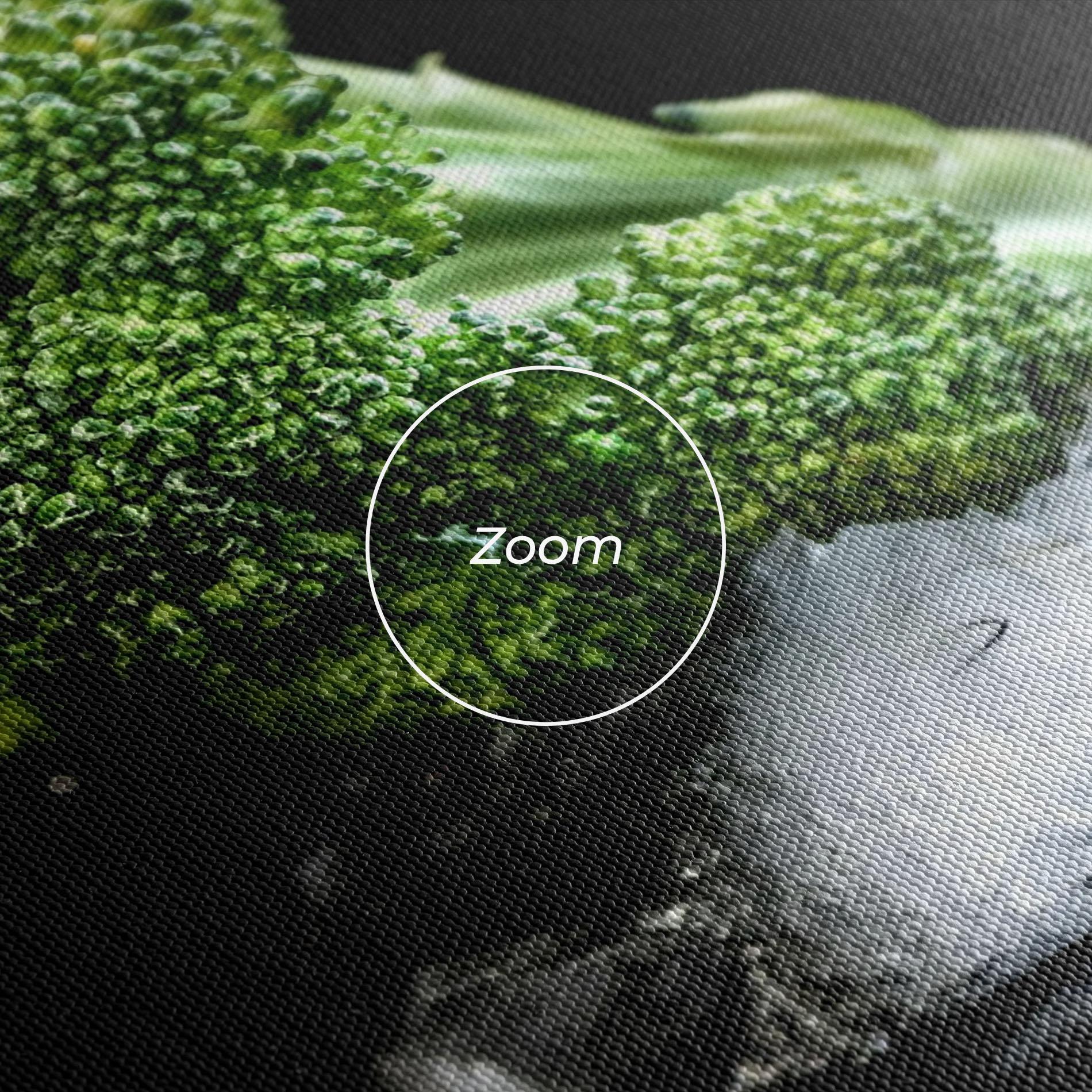 Vászonkép Broccoli Water mockup 3