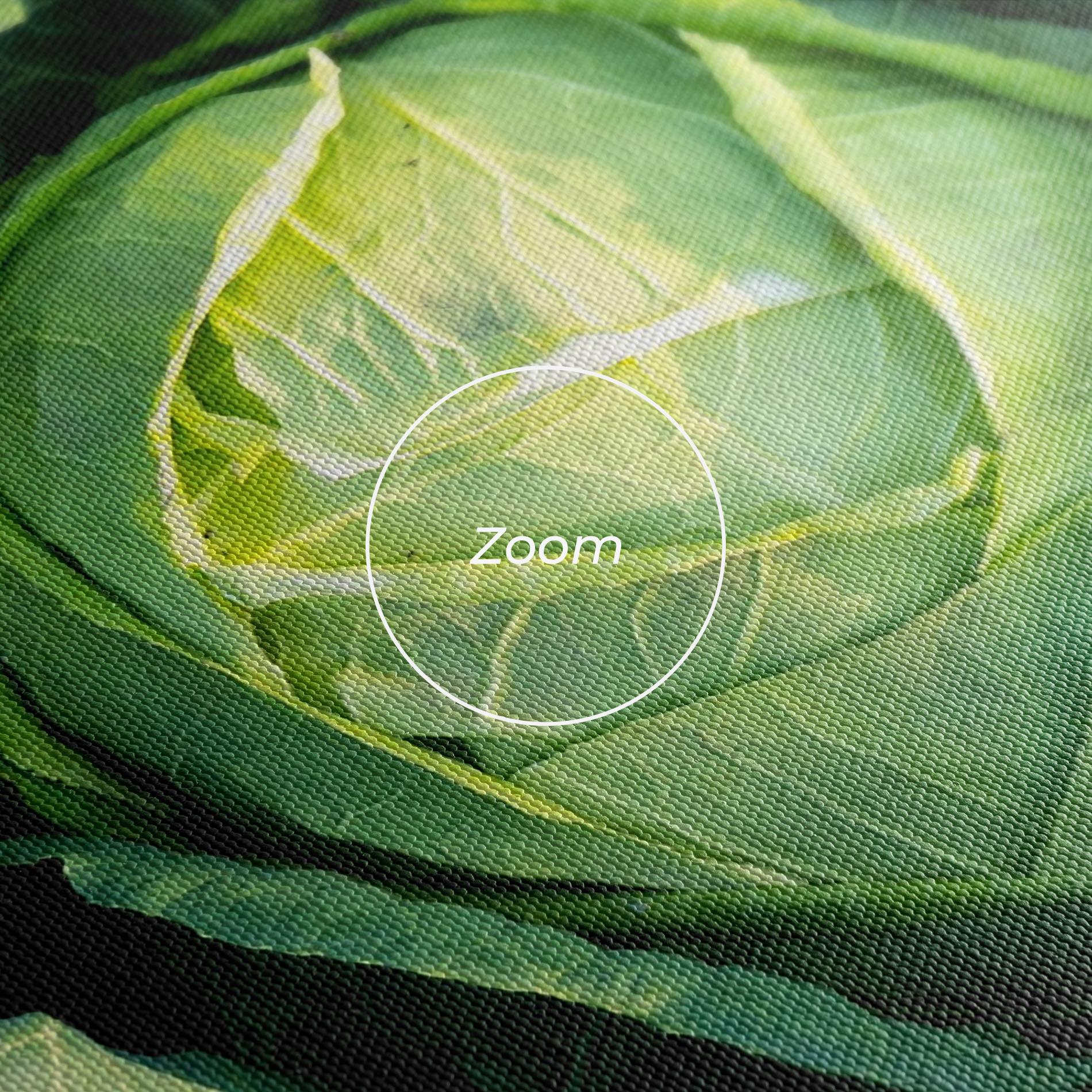 Vászonkép Green Lettuce mockup 3